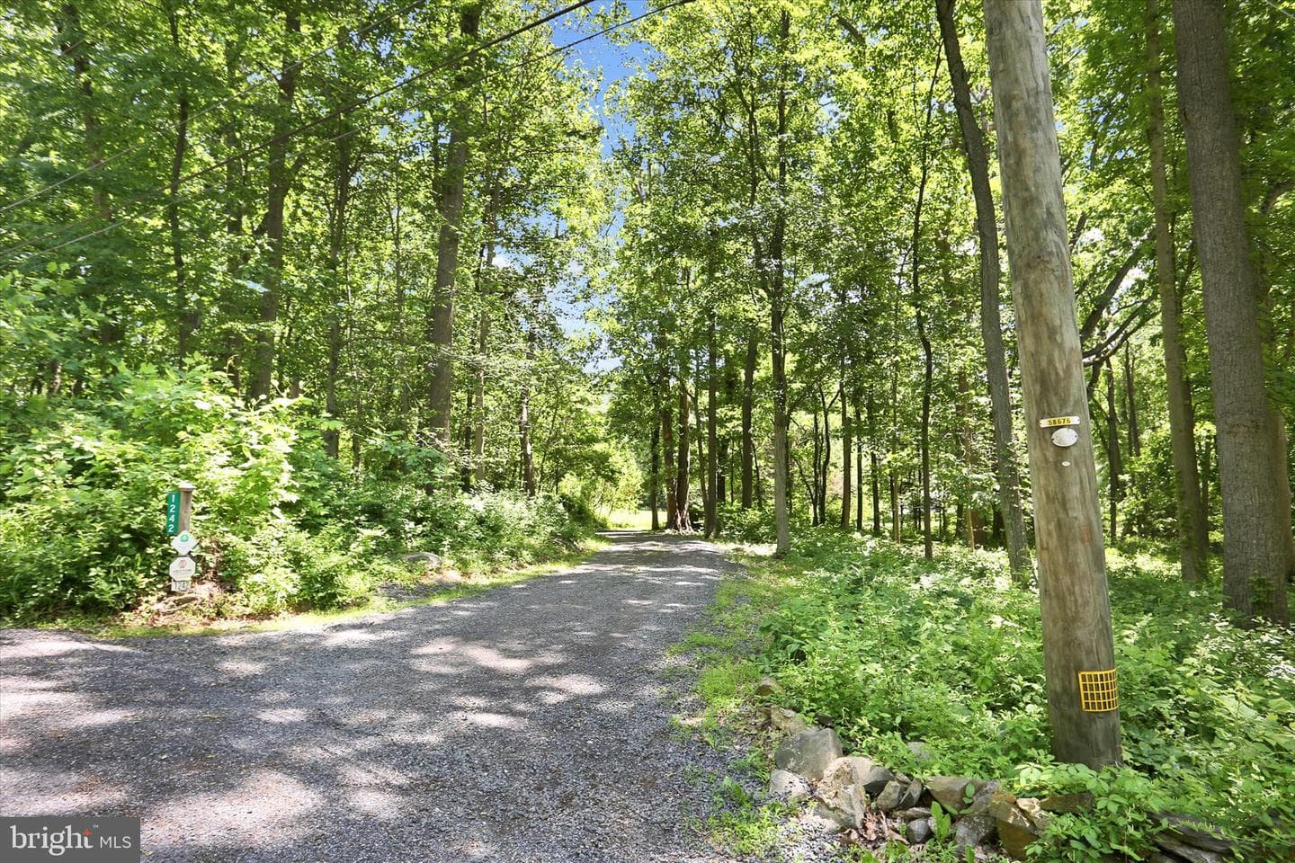 1242 Jaine Lane photo 59