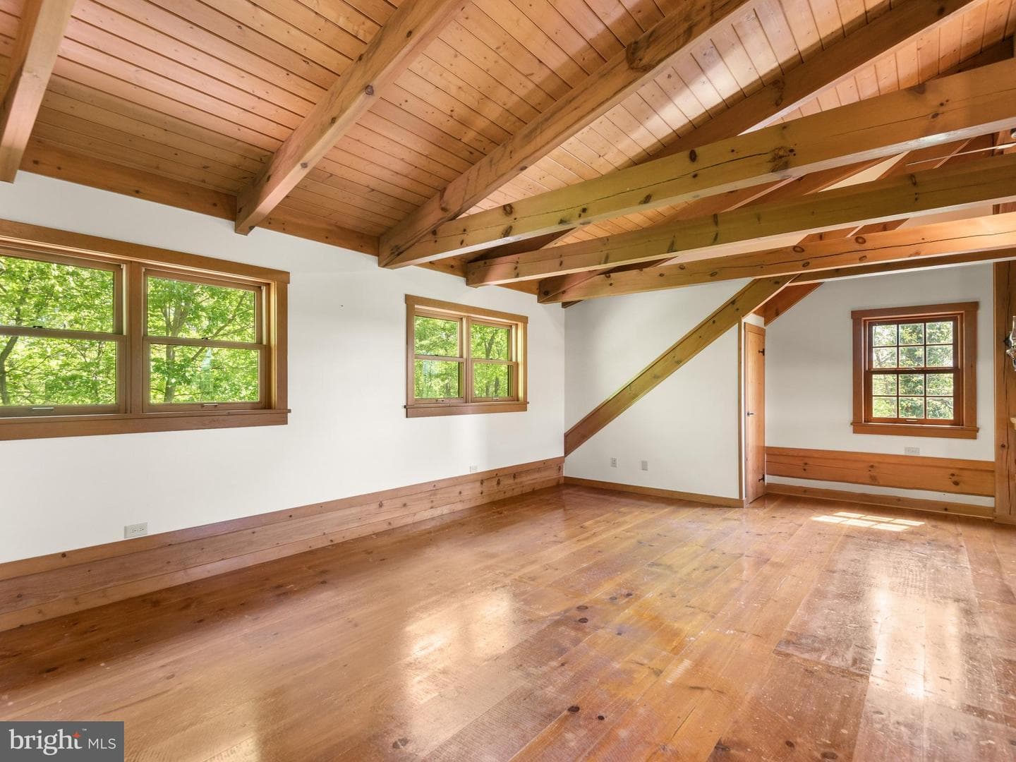 533 Mount Pleasant Road photo 29