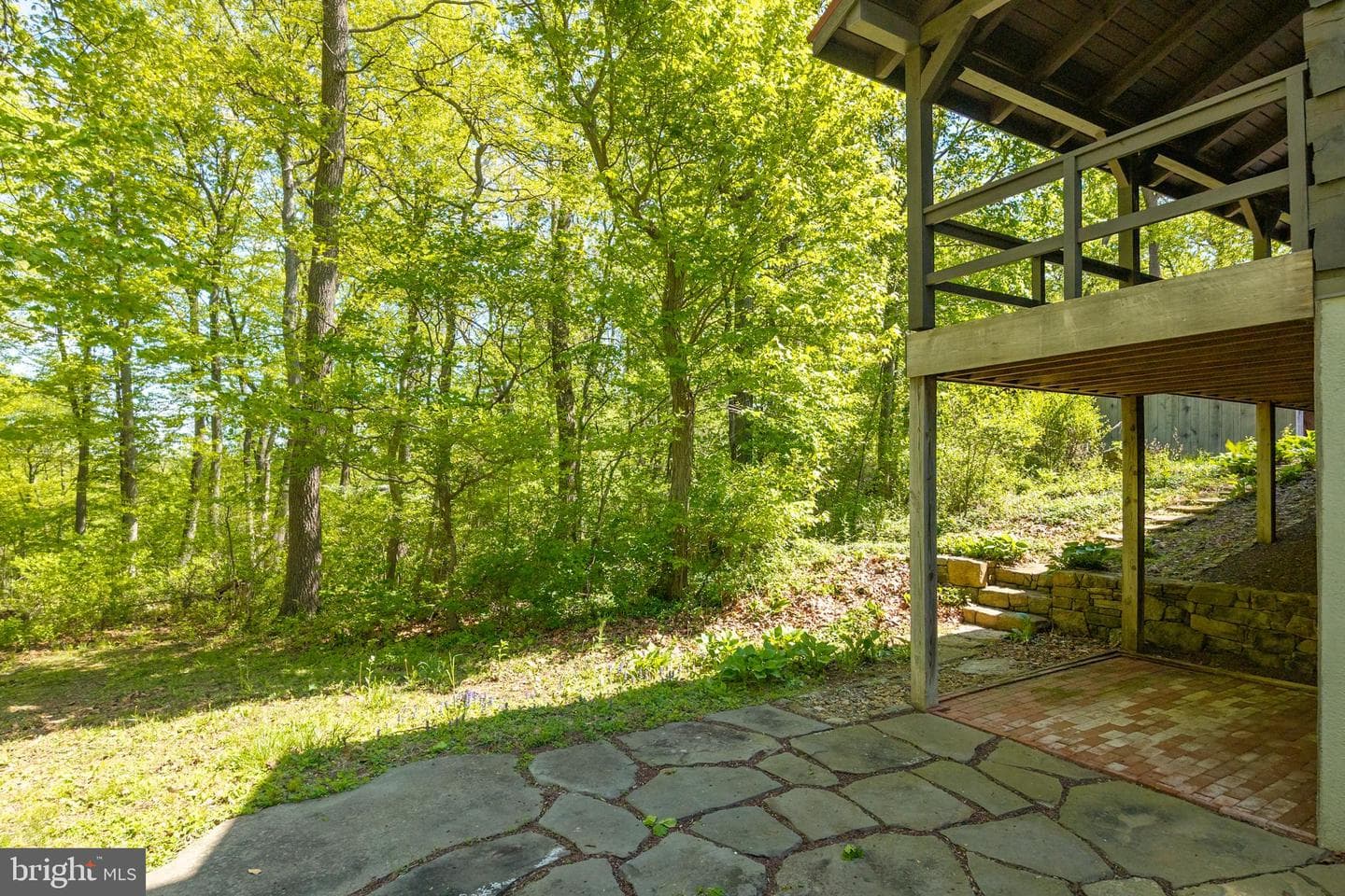 533 Mount Pleasant Road photo 61