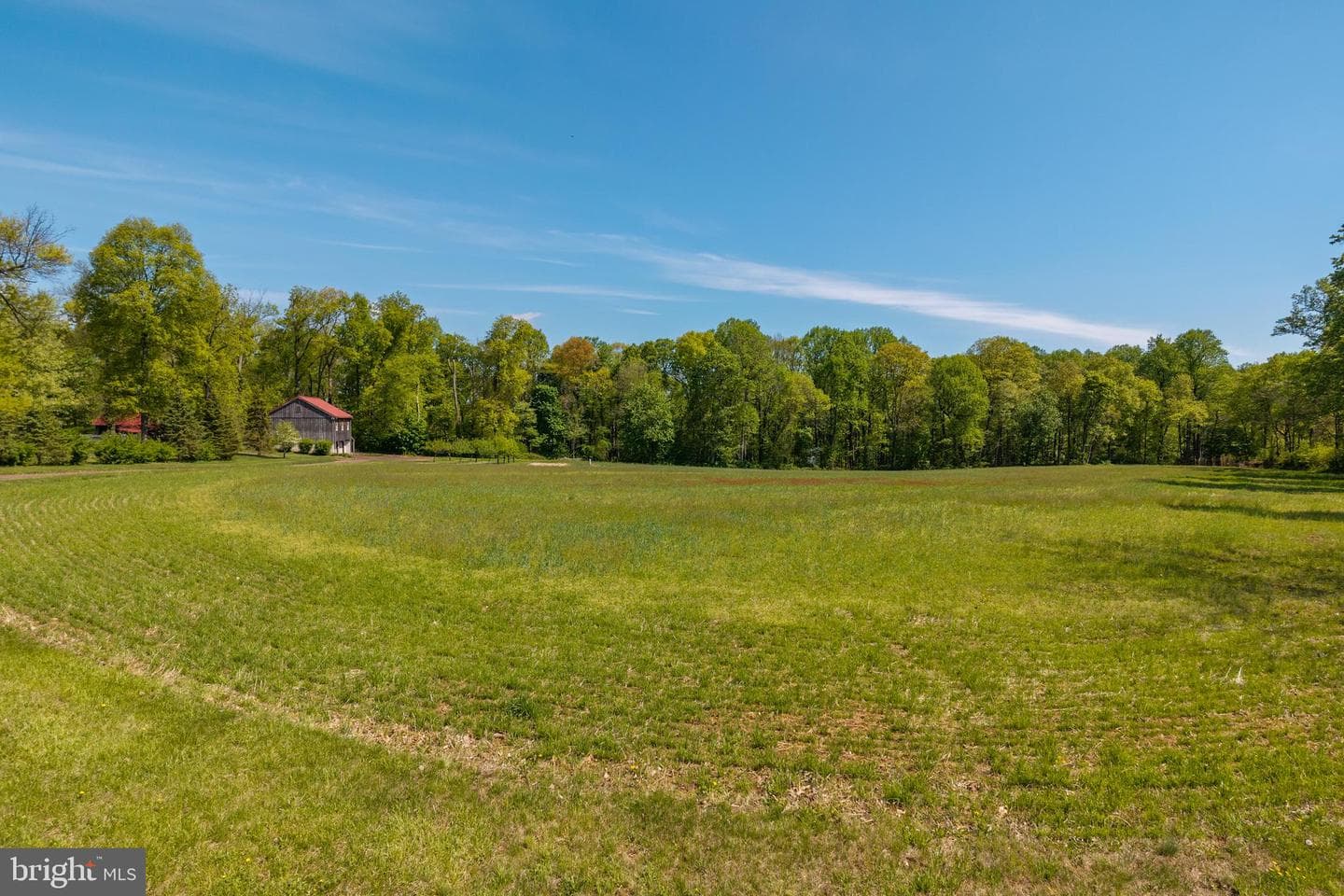 533 Mount Pleasant Road photo 93
