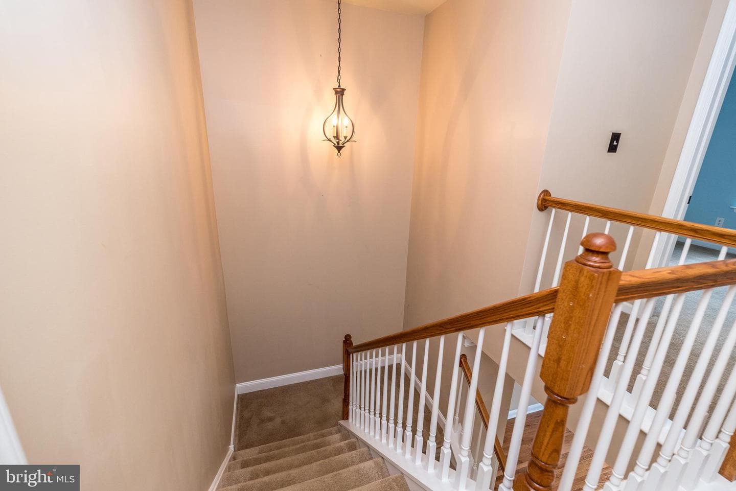34 Lukens Mill Drive #126 photo 41