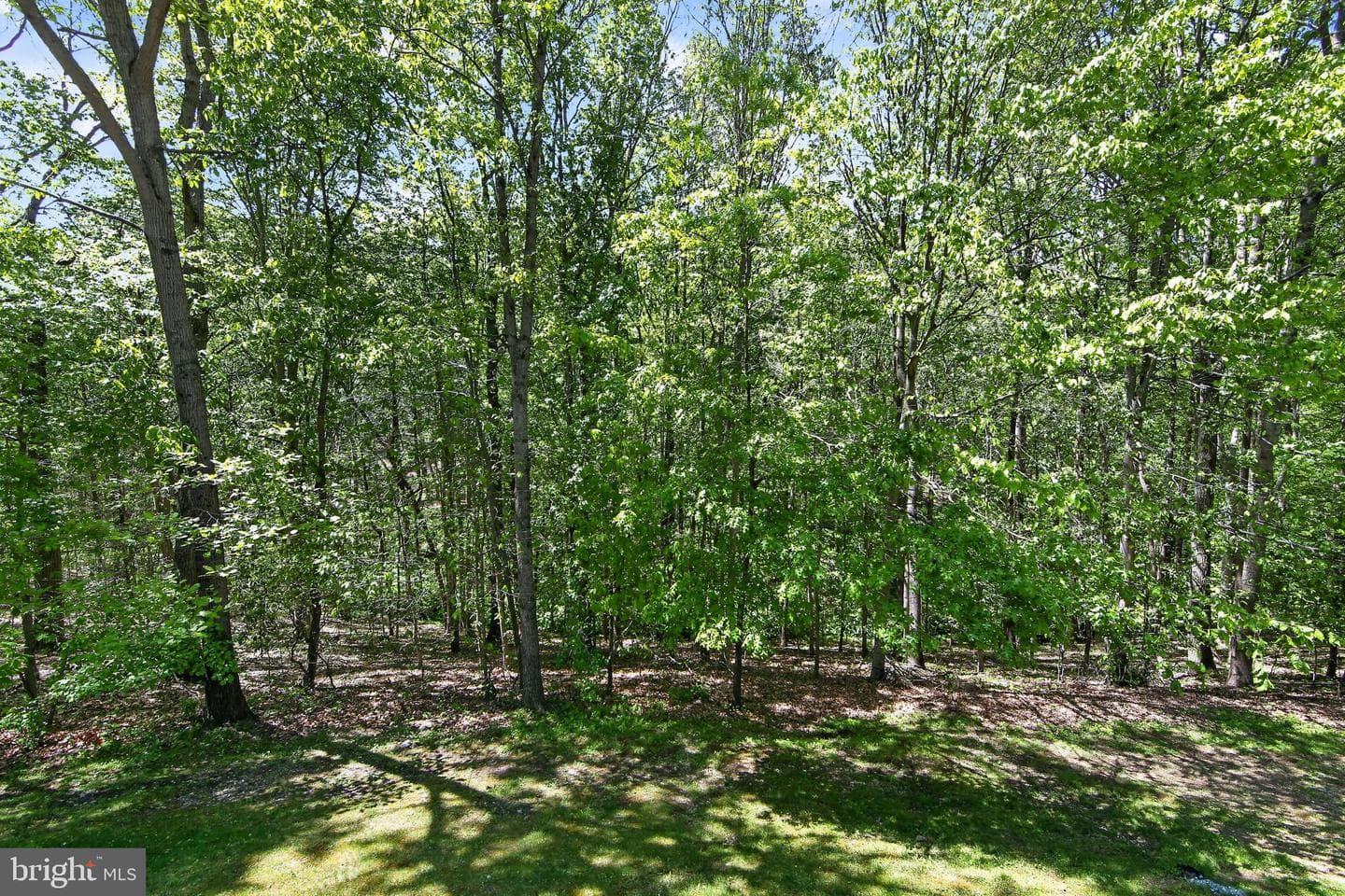 1315 Richmond Place photo 49
