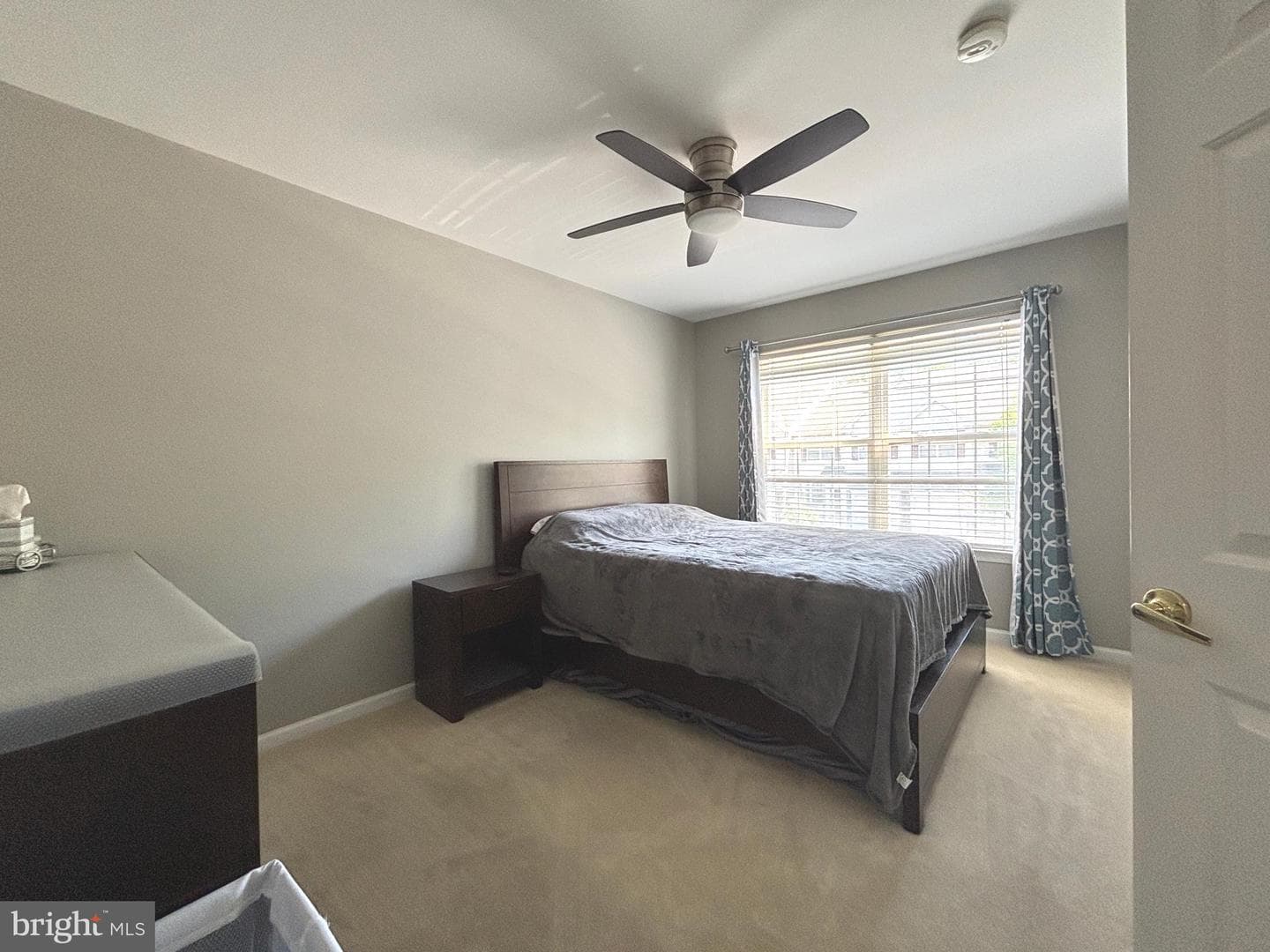 233 Tall Pines Drive photo 23