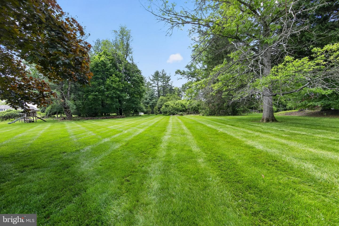 204 Shropshire Drive photo 16