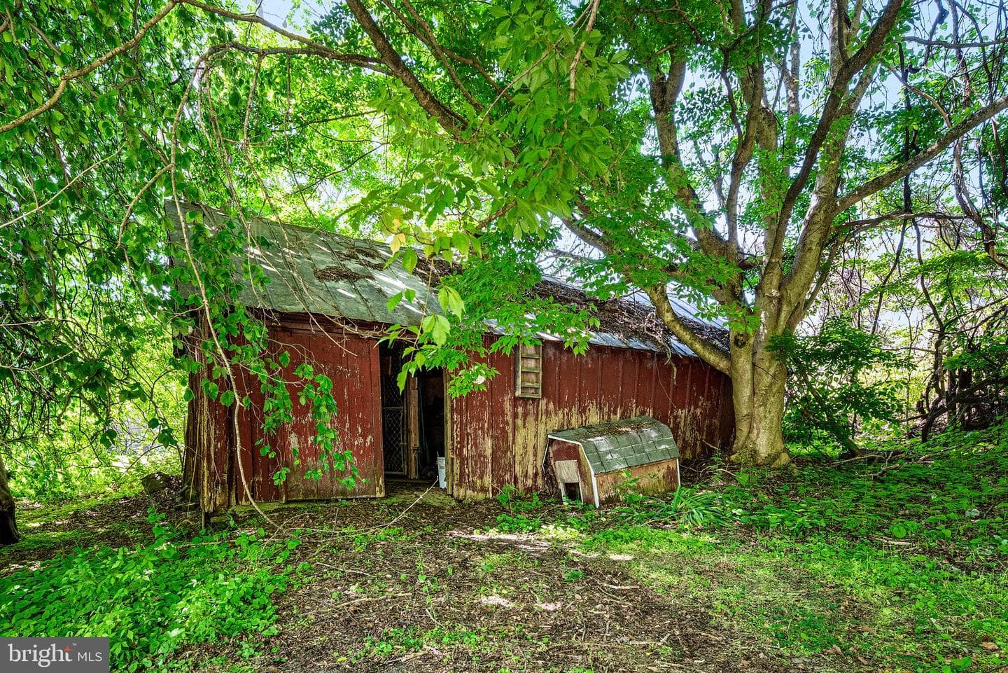 1383 Hickory Hill Road photo 5