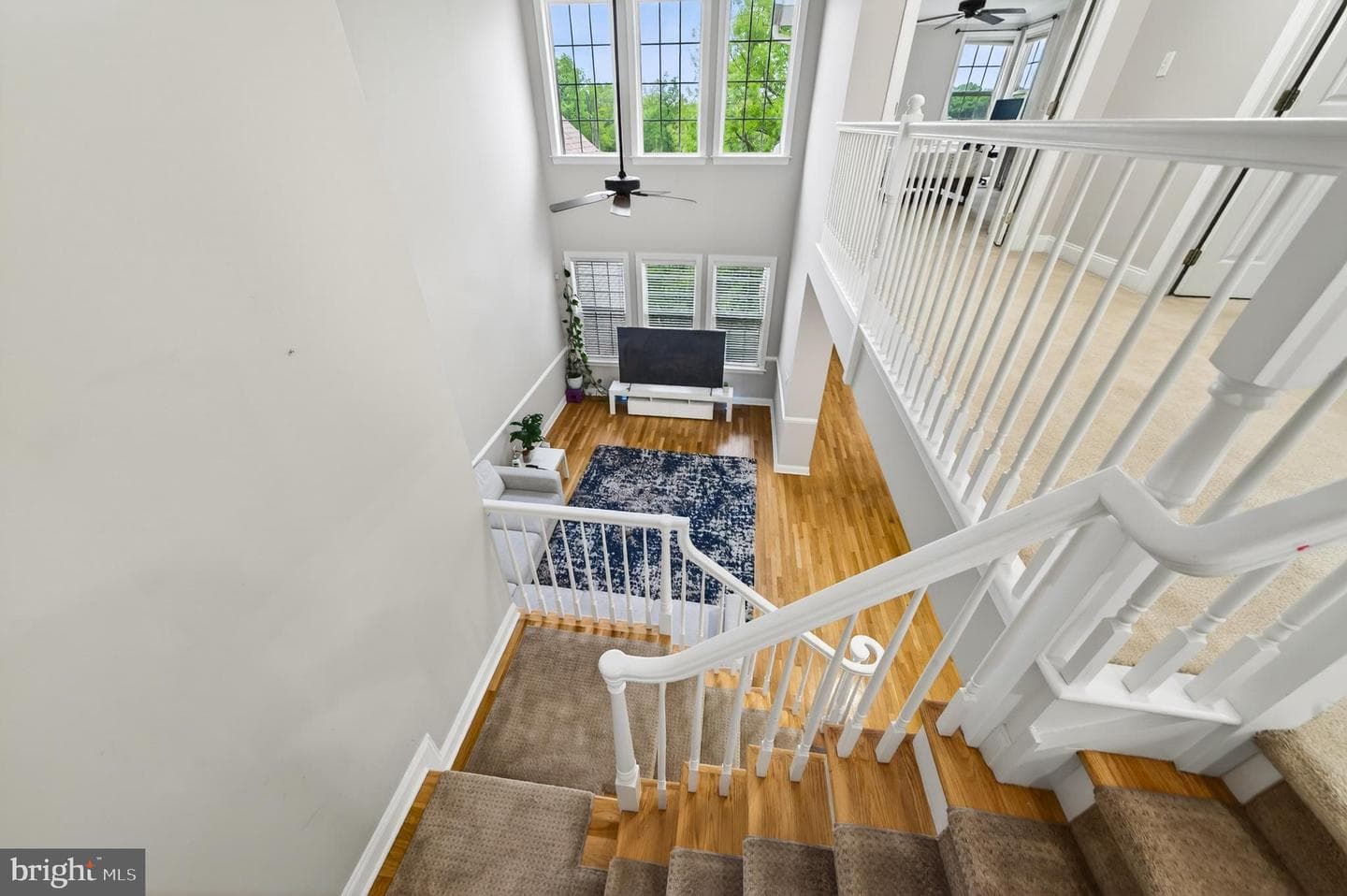 2847 Tansey Lane photo 20