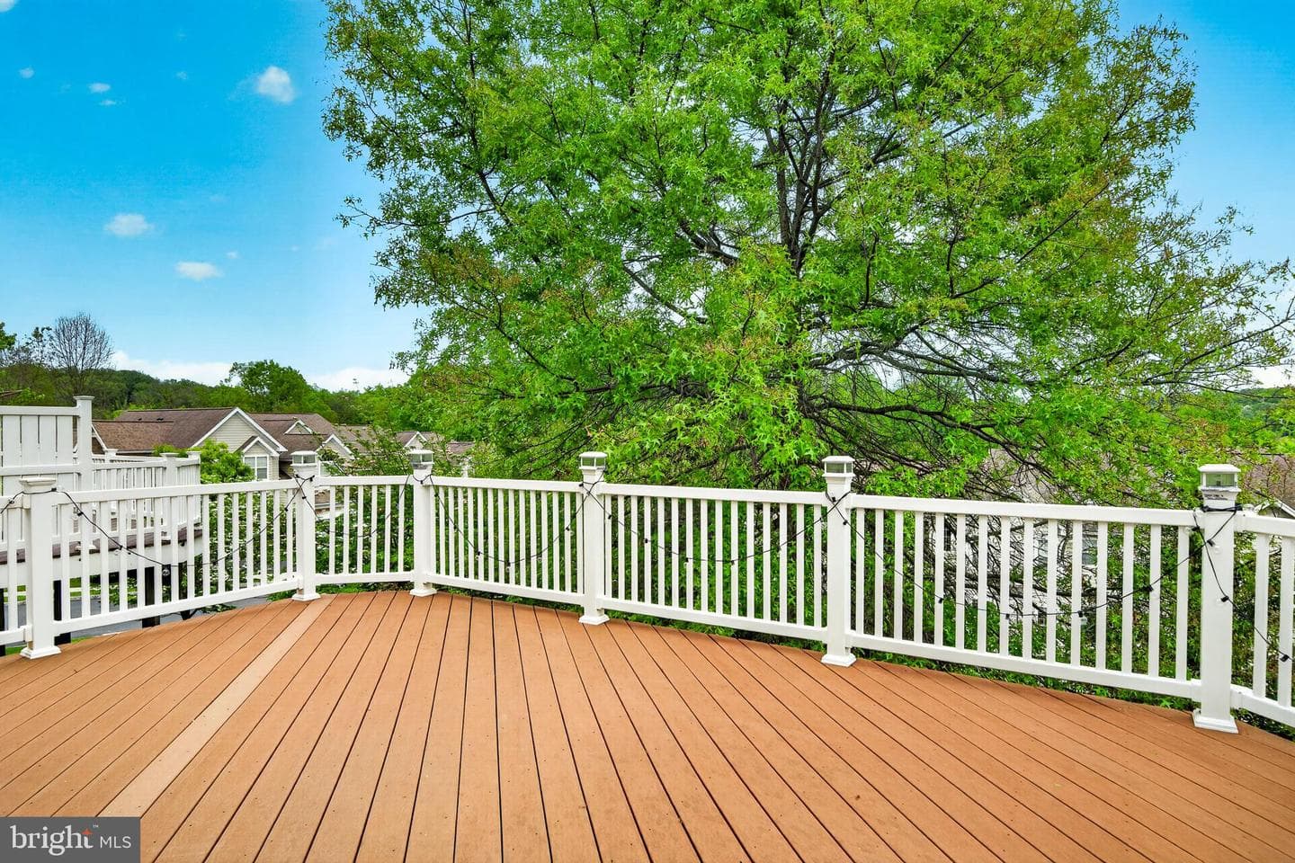 2847 Tansey Lane photo 47