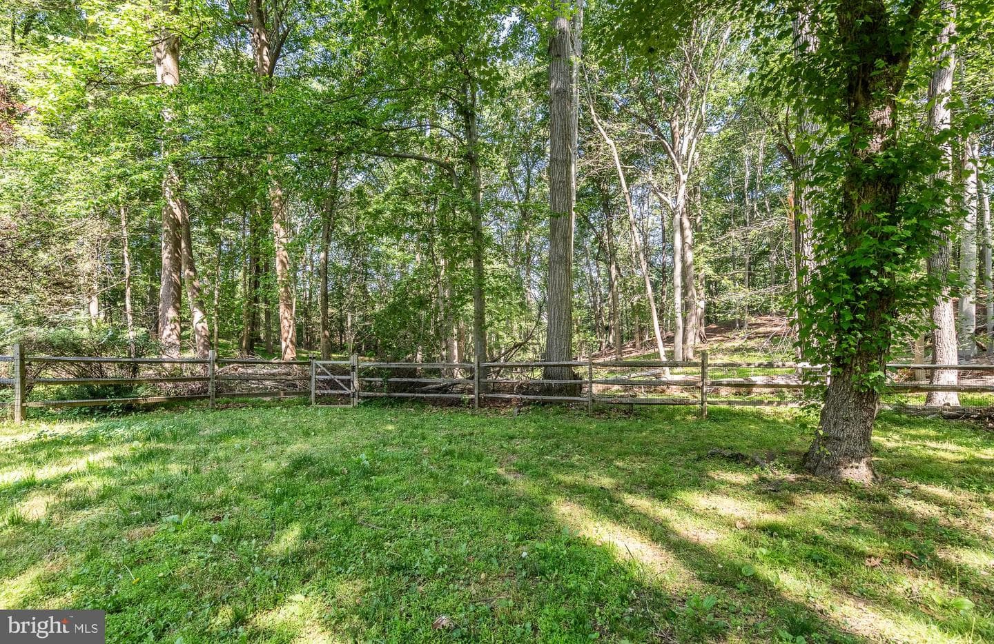823 Nathan Hale Drive photo 67