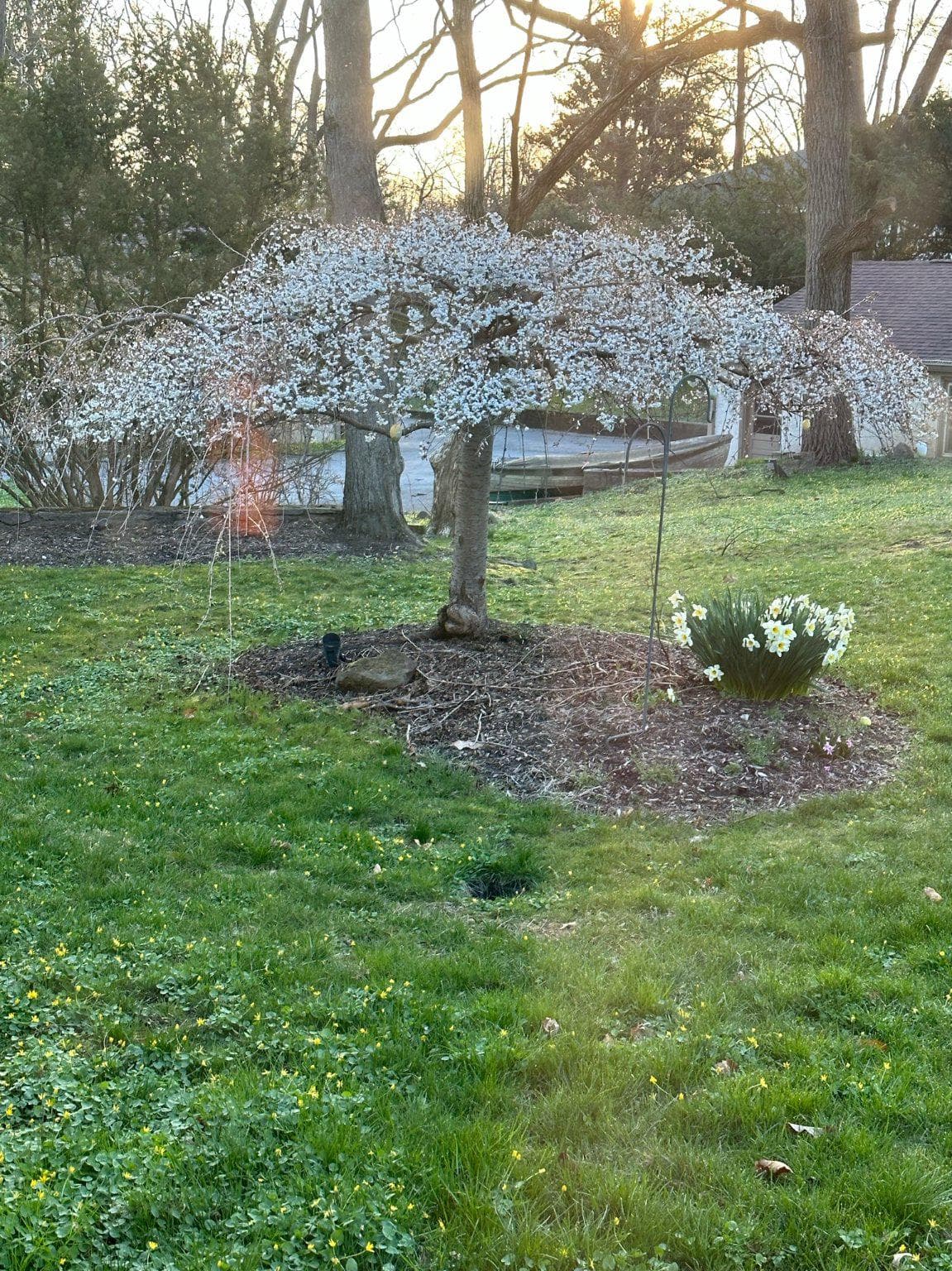 120 Farm Road photo 43