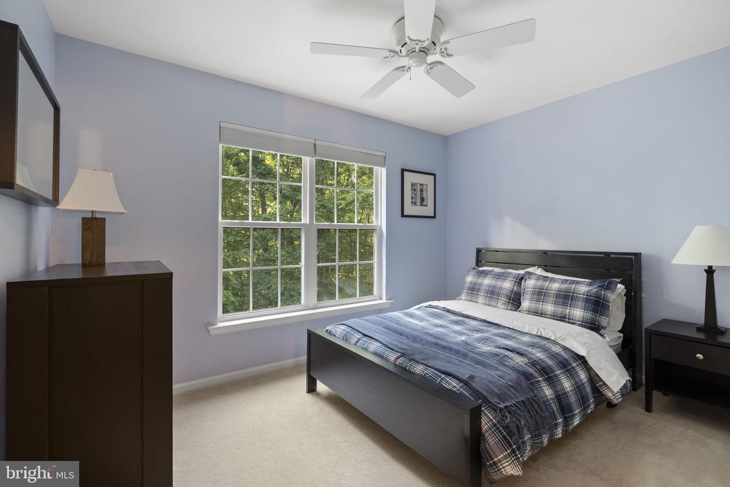 25 Dougherty Drive photo 28