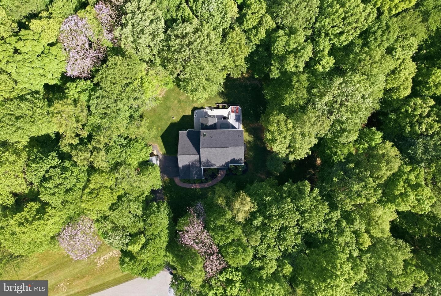 25 Dougherty Drive photo 67