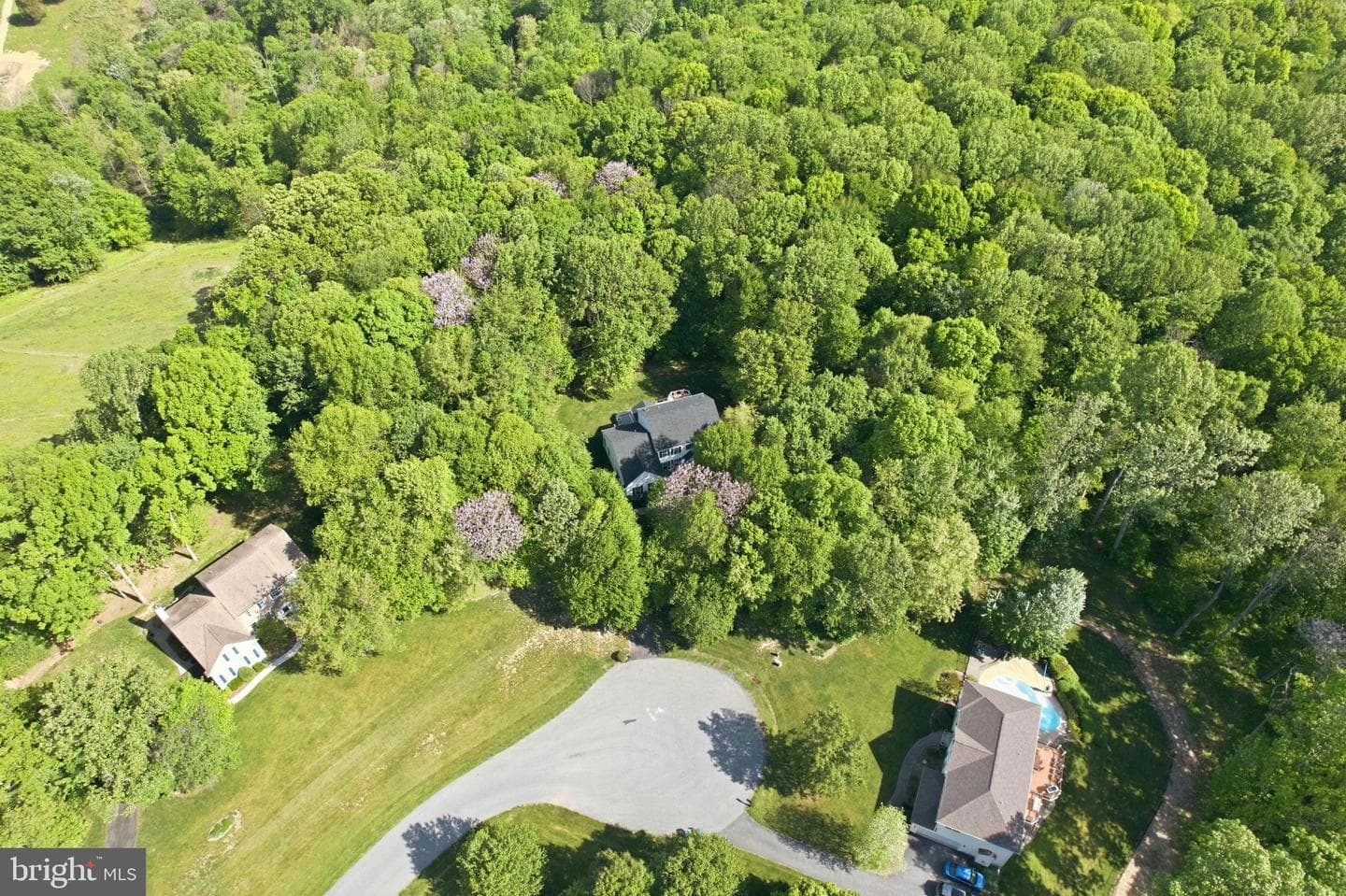 25 Dougherty Drive photo 70