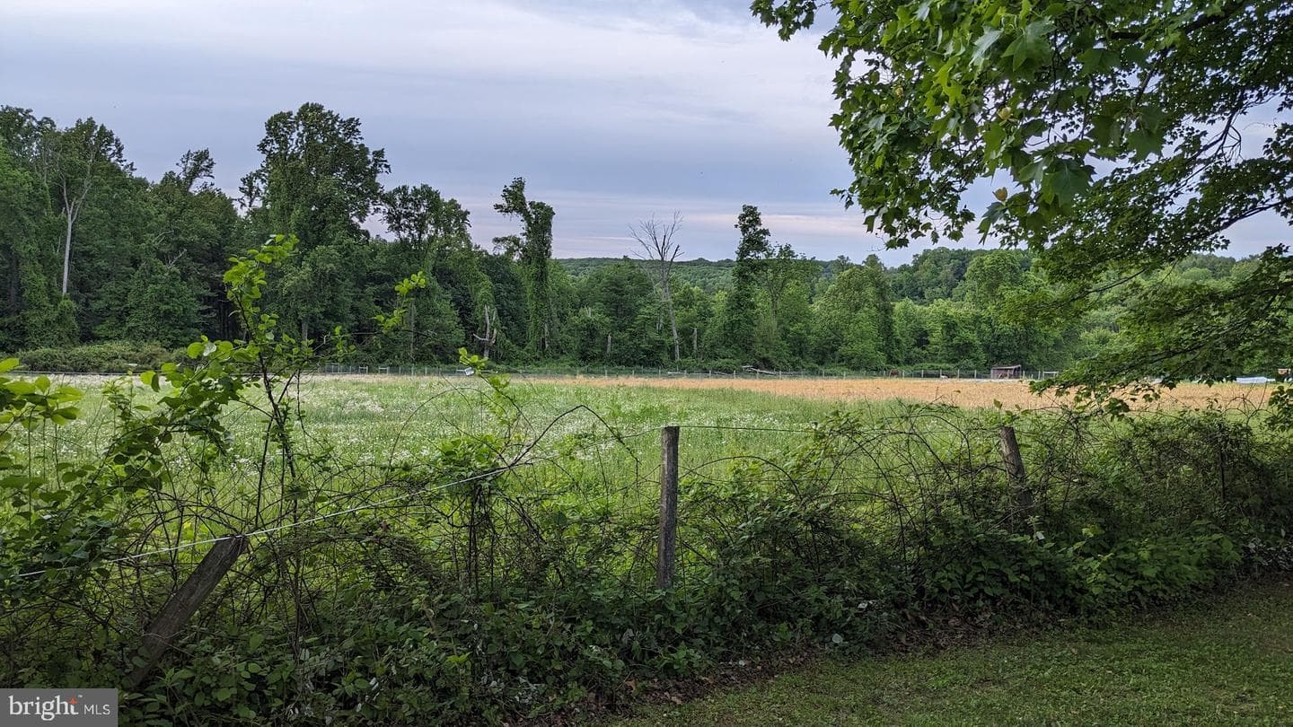 177 Sugarman Road photo 5