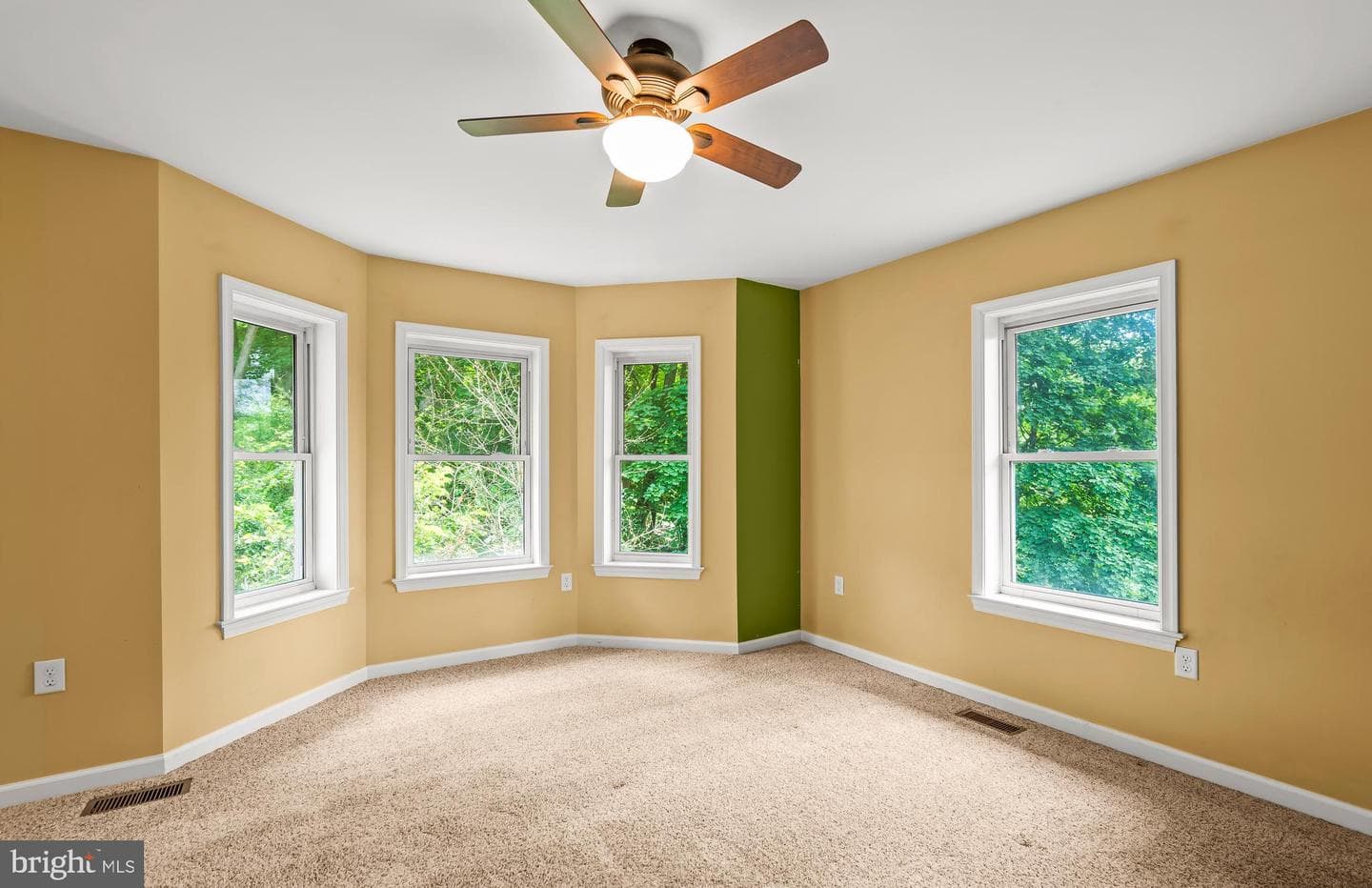 61 Bradley Avenue photo 17