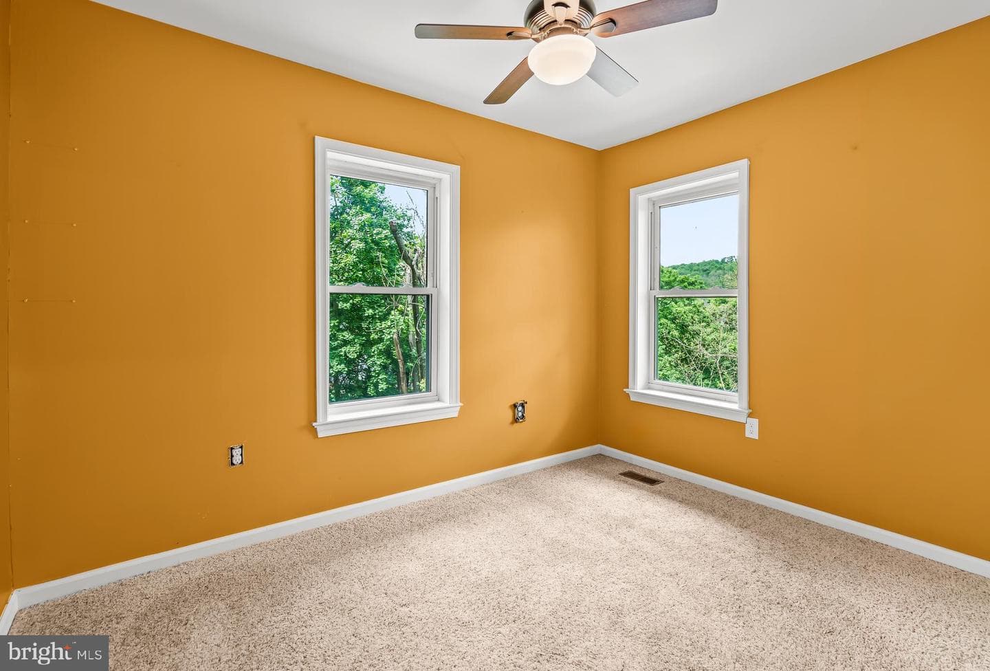 61 Bradley Avenue photo 26