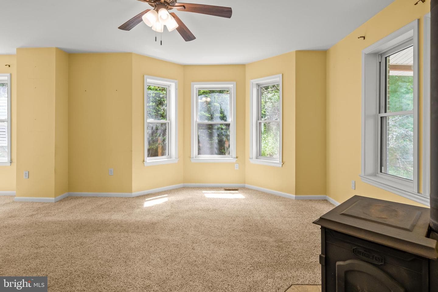 61 Bradley Avenue photo 6