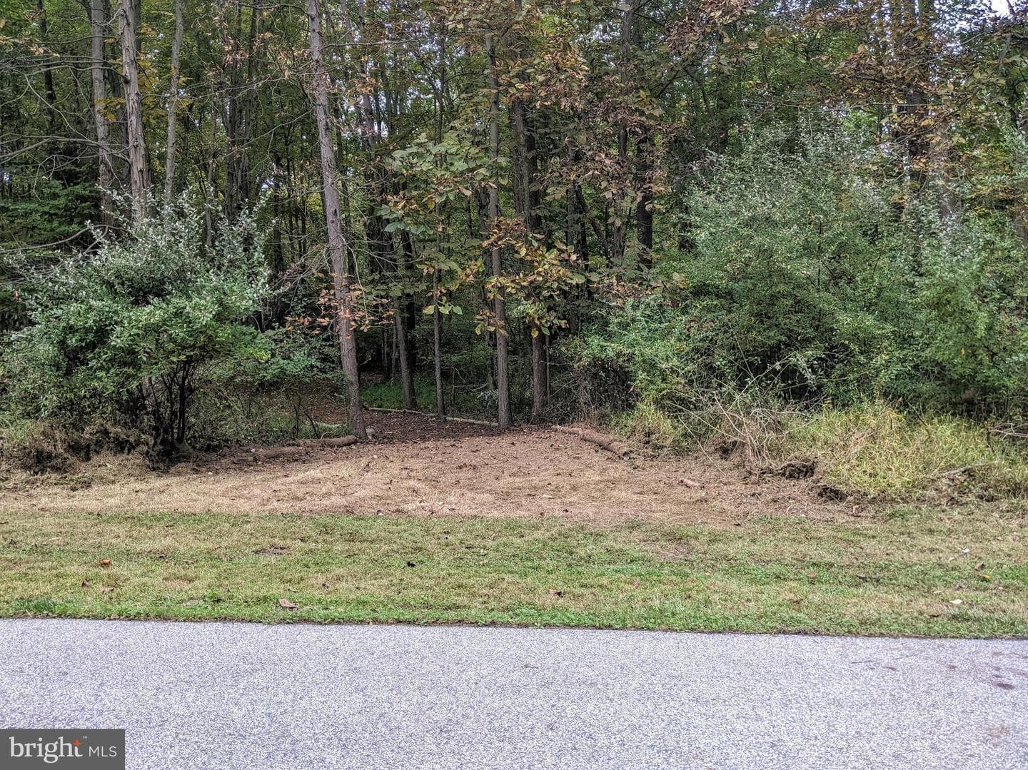 101 Burnt Mill Circle photo 31