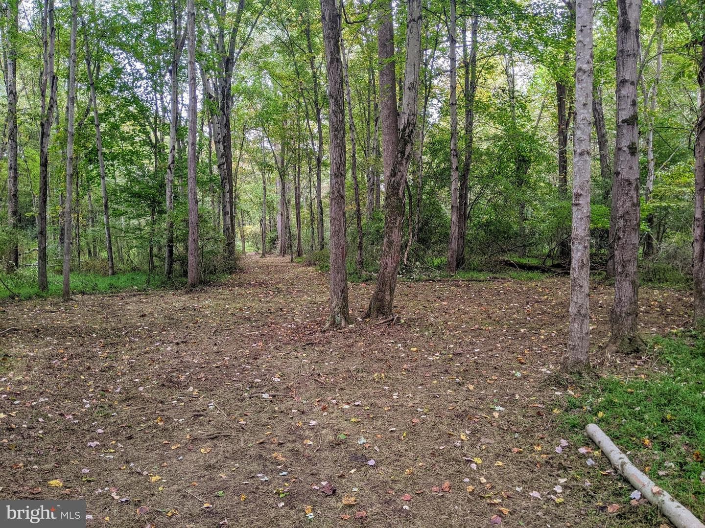101 Burnt Mill Circle photo 33