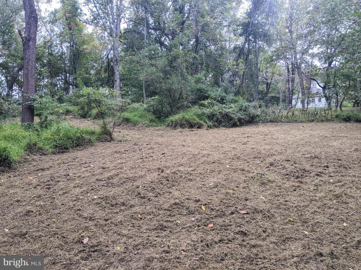 101 Burnt Mill Circle photo 38