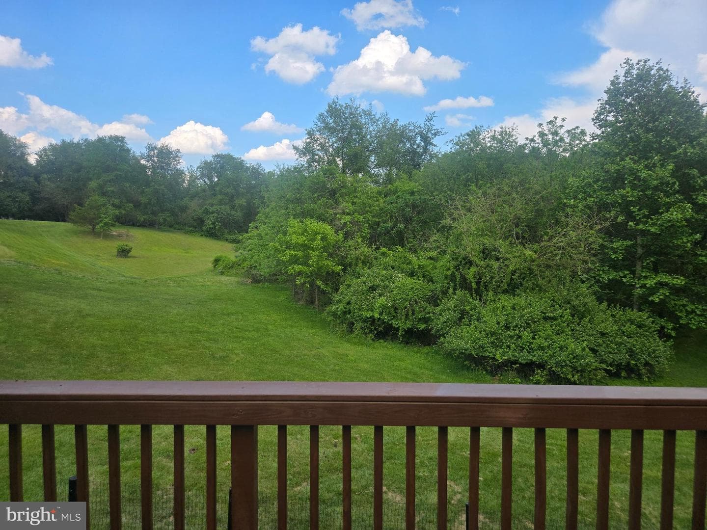 11 Prince Edwards Drive photo 17