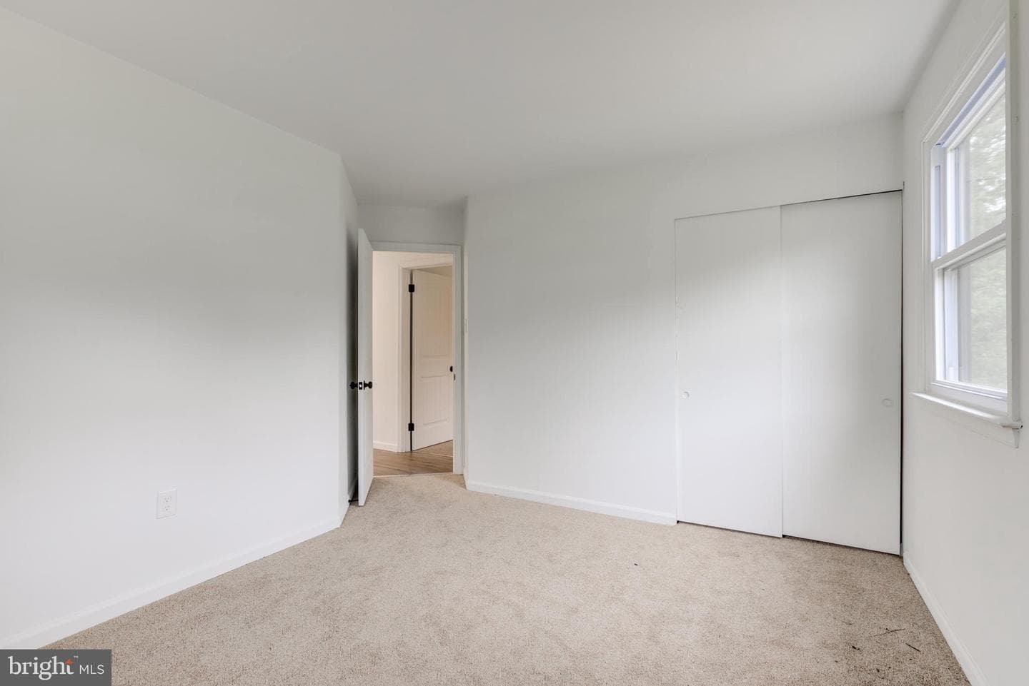 11 Prince Edwards Drive photo 37