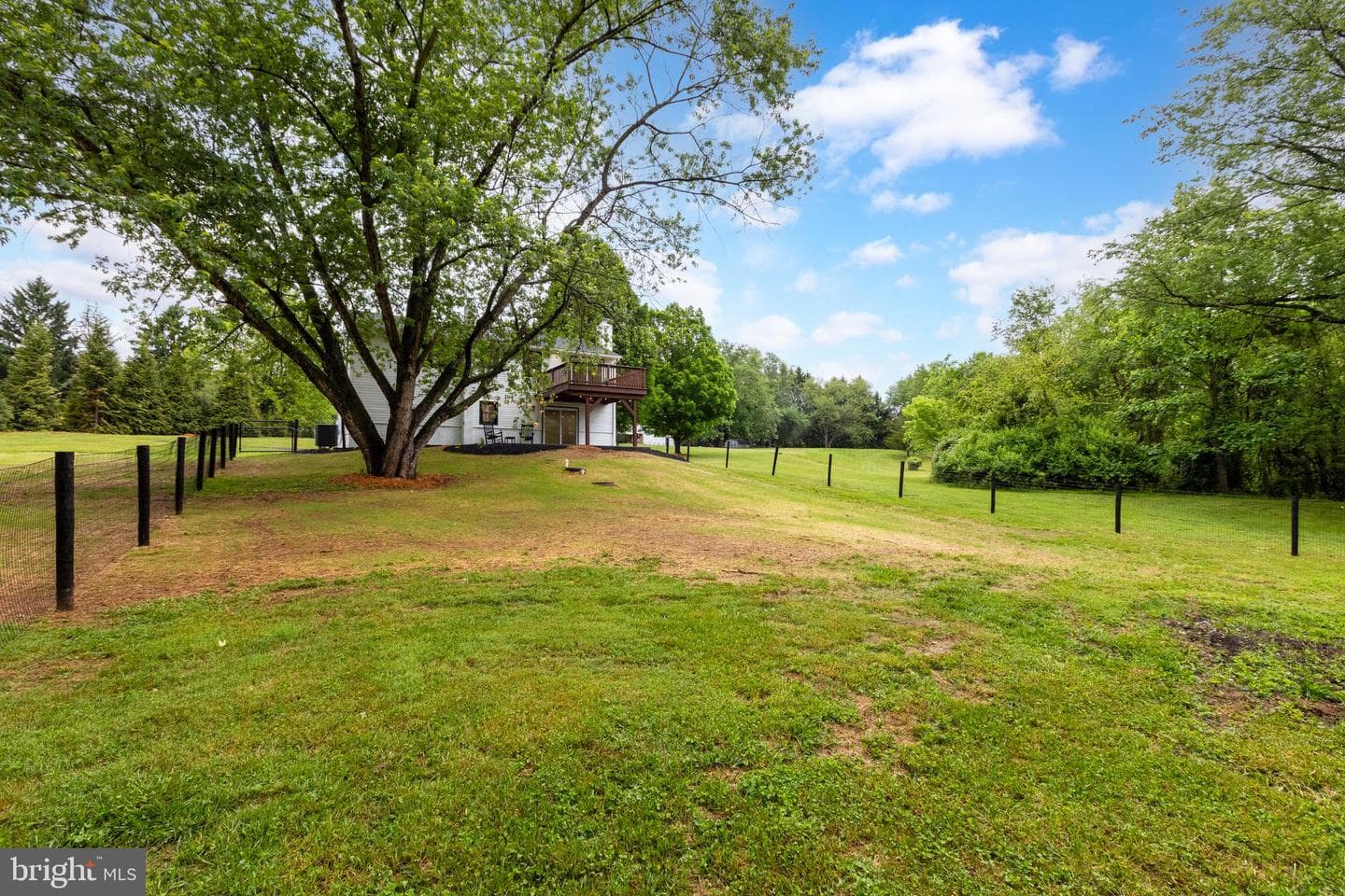 11 Prince Edwards Drive photo 51