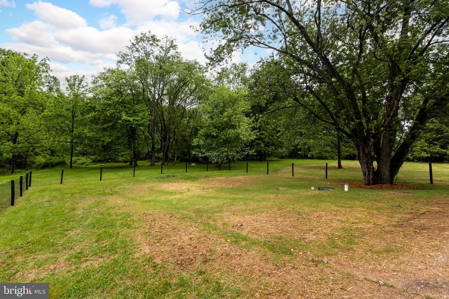 11 Prince Edwards Drive photo 54