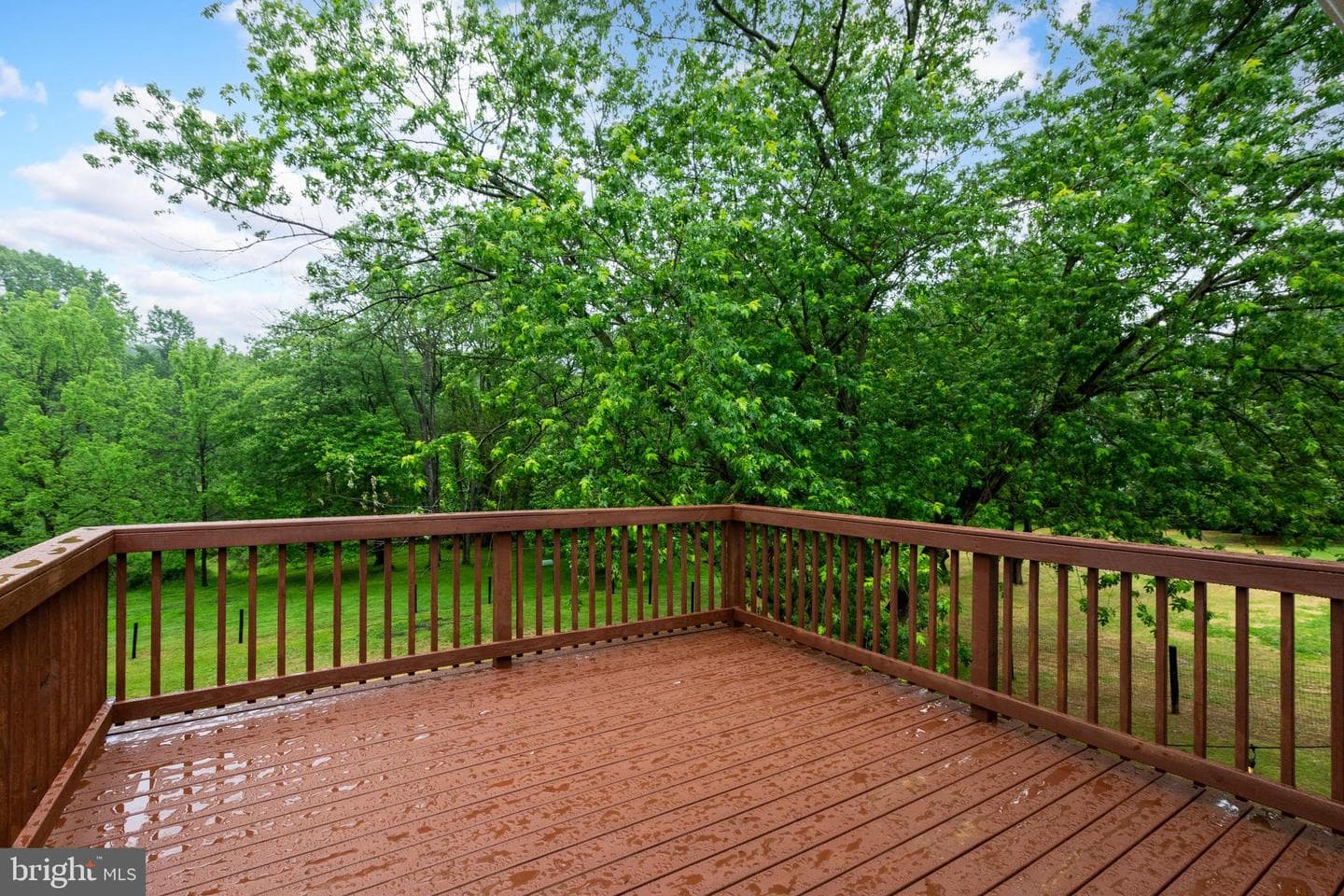 11 Prince Edwards Drive photo 58