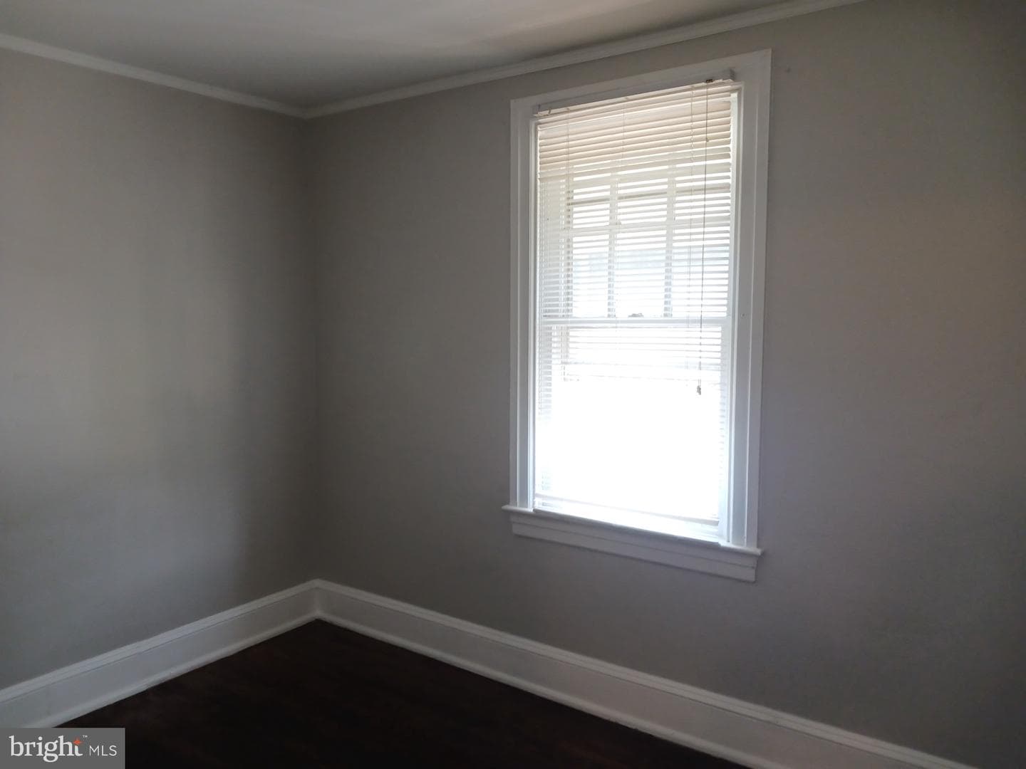 1132 Stirling Street photo 16