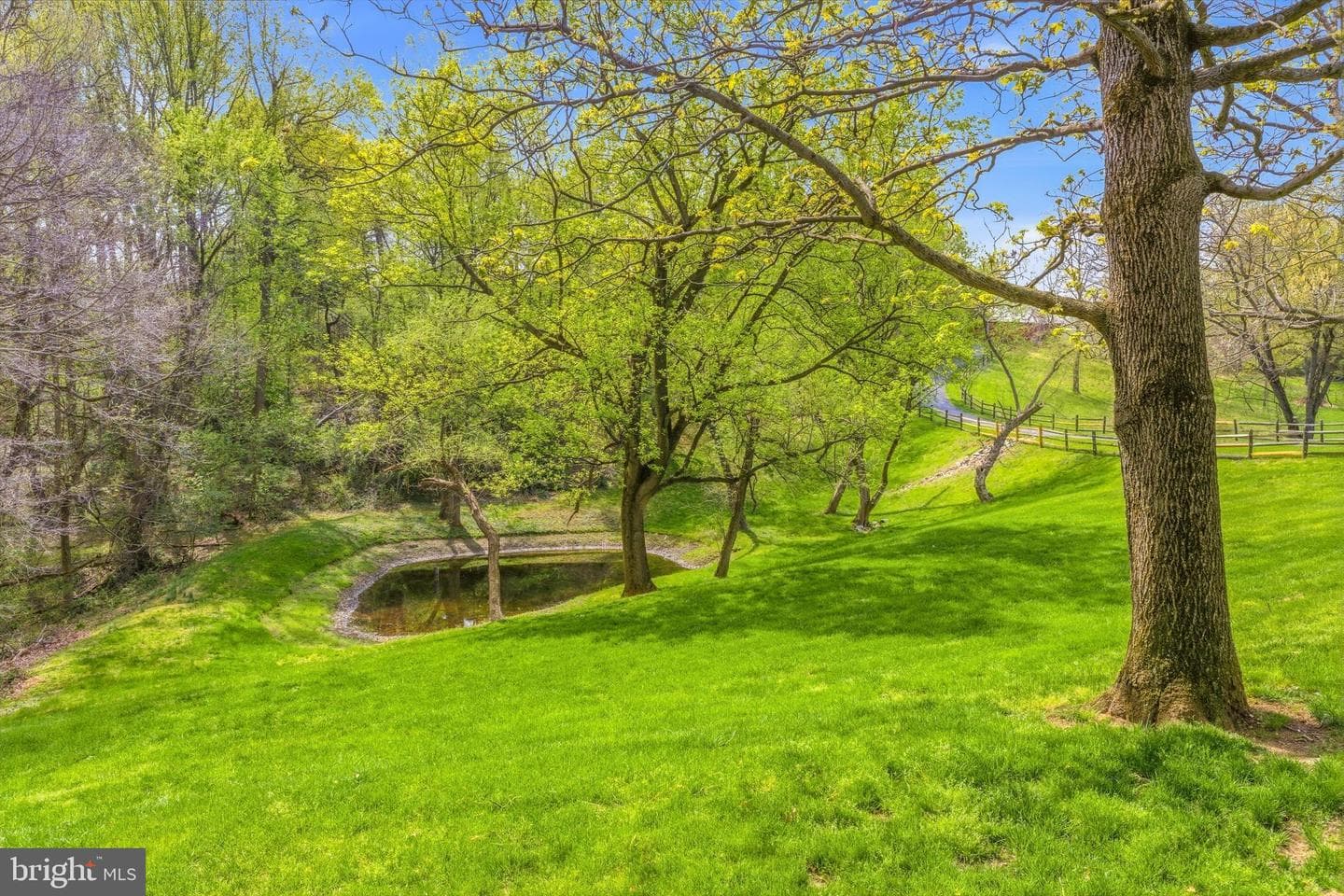 310 Buttonwood Road photo 43