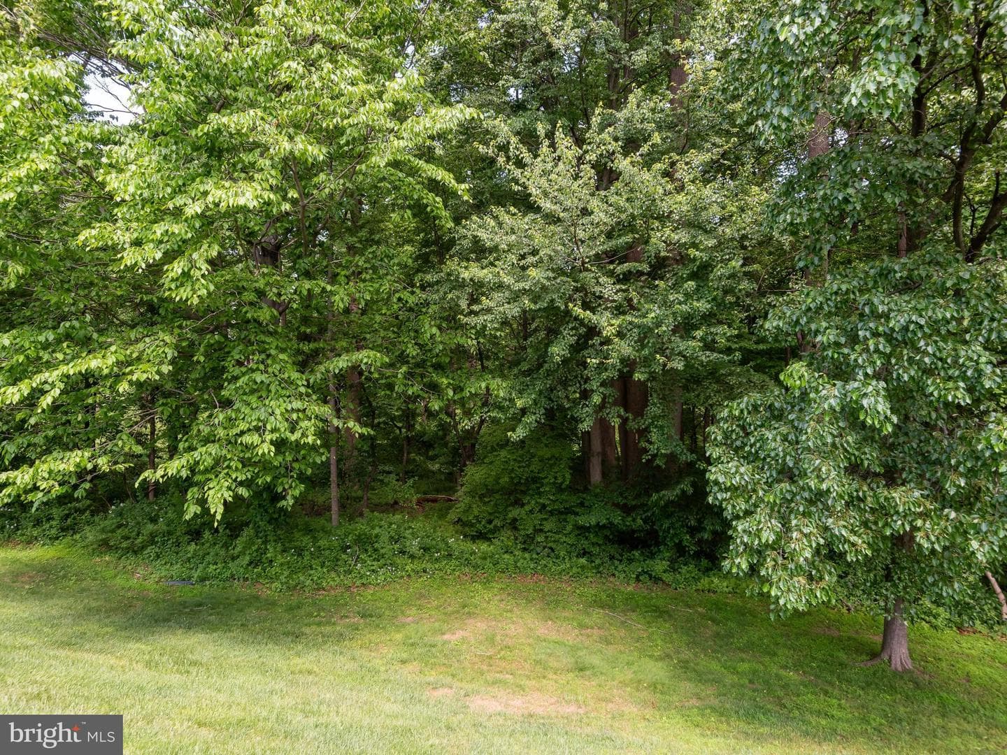 309 Deer Track Court photo 47