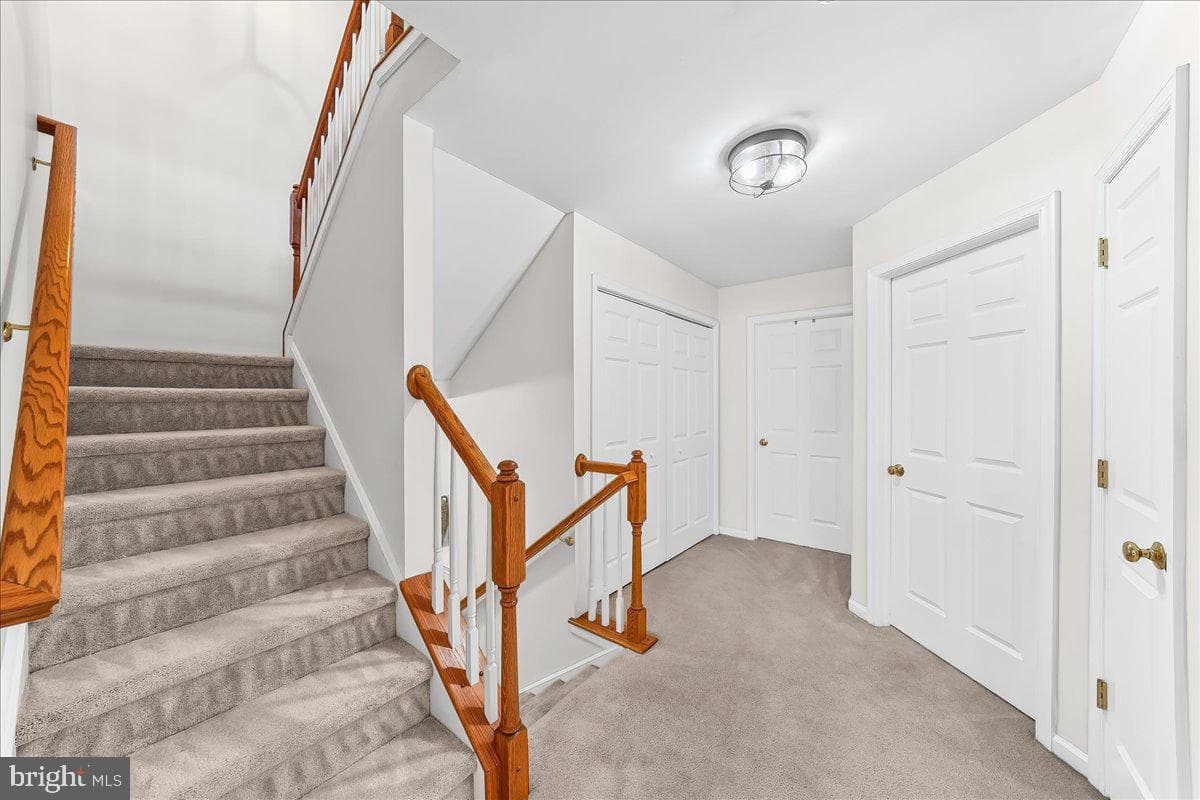 237 Deepdale Drive photo 17