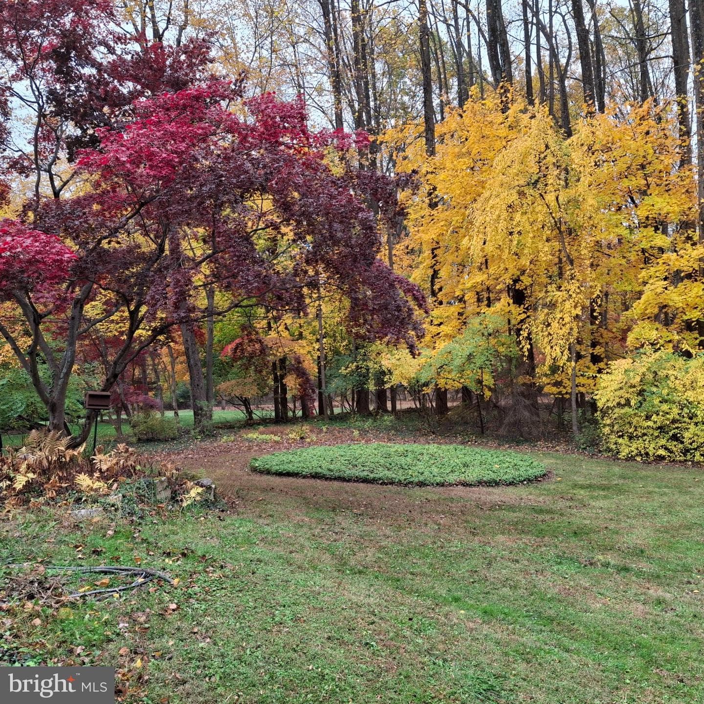 608 Whiteland Hunt Road photo 2