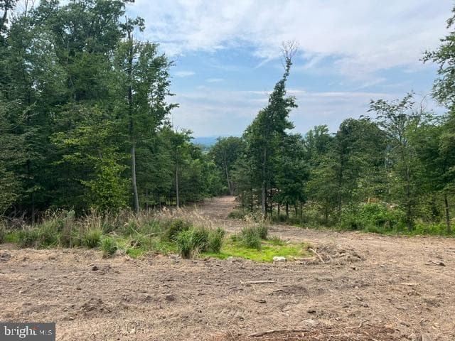 Lot 1-A Estates At Howell Ridge photo 35