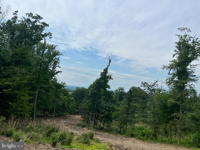 Lot 1-A Estates At Howell Ridge photo 36