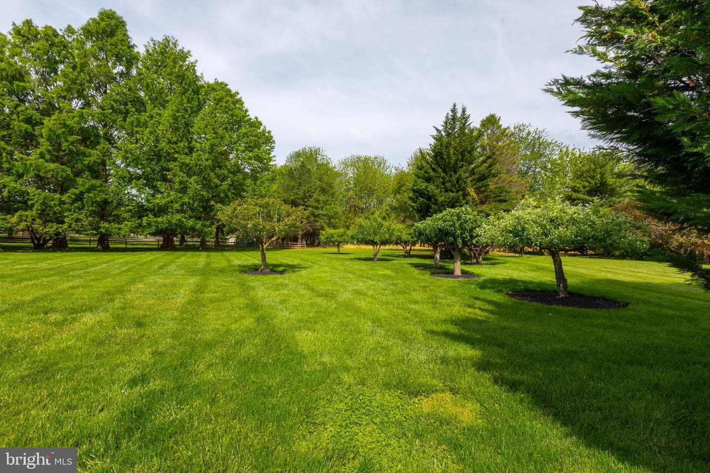293 Hickory Drive photo 61