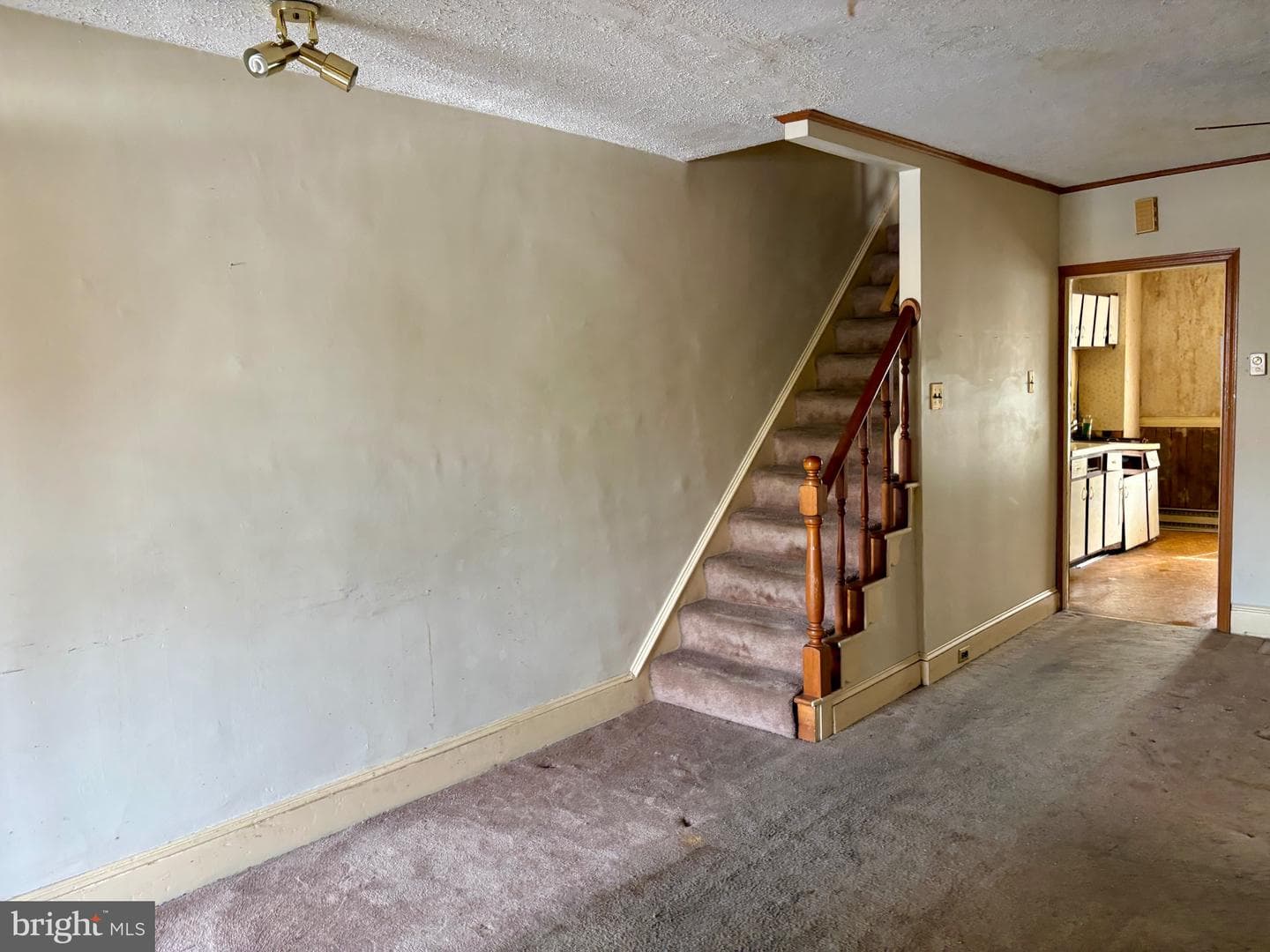 207 Chestnut Street photo 10