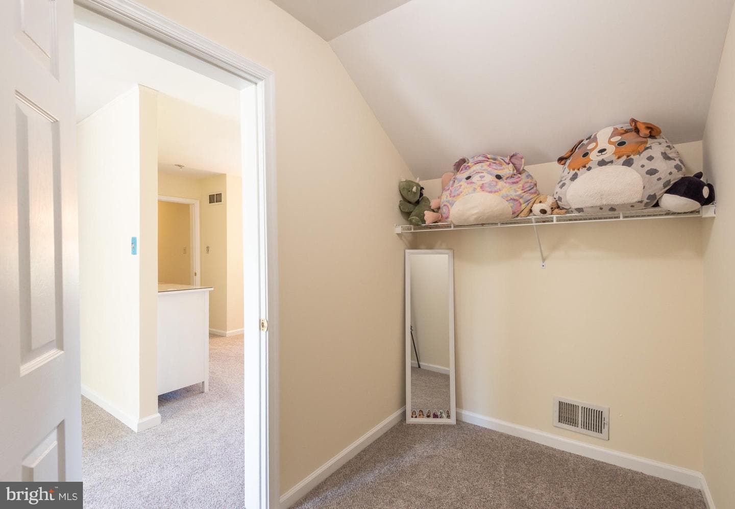 923 Chester Drive photo 29