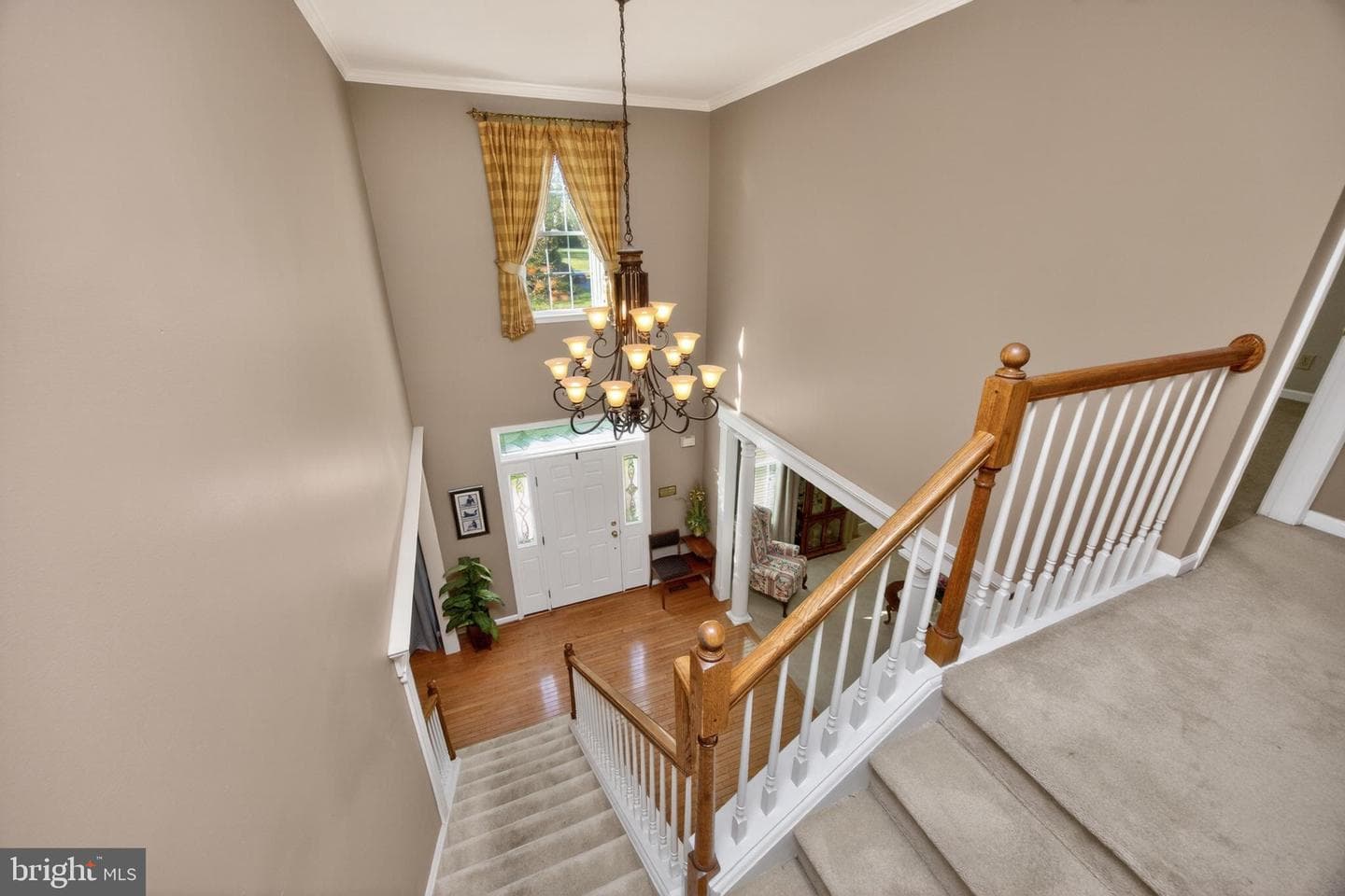 17 Oneida Court photo 24