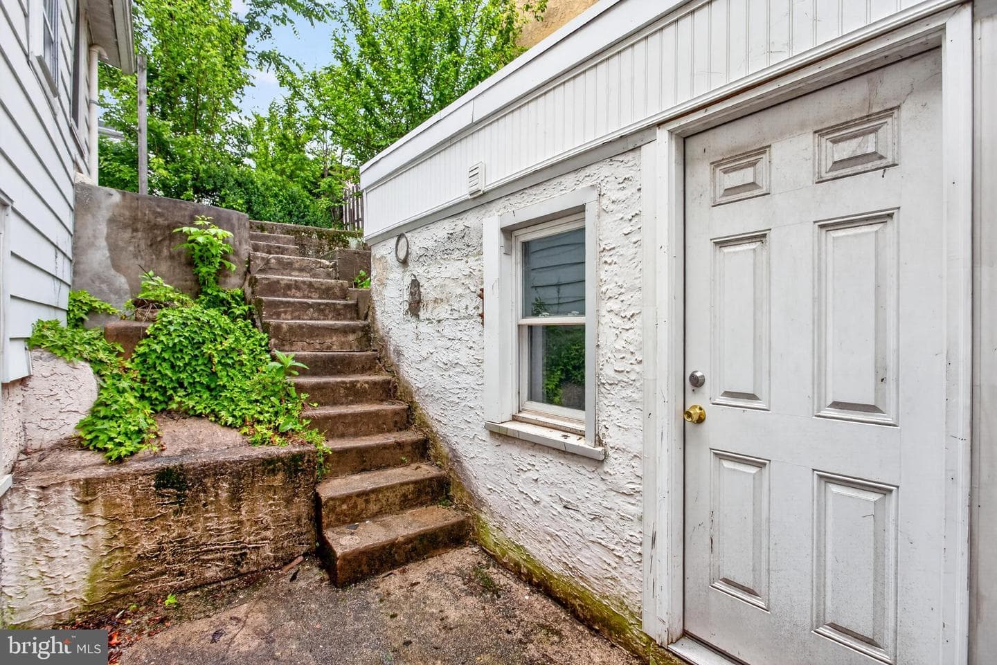 31 Emmett Street photo 25