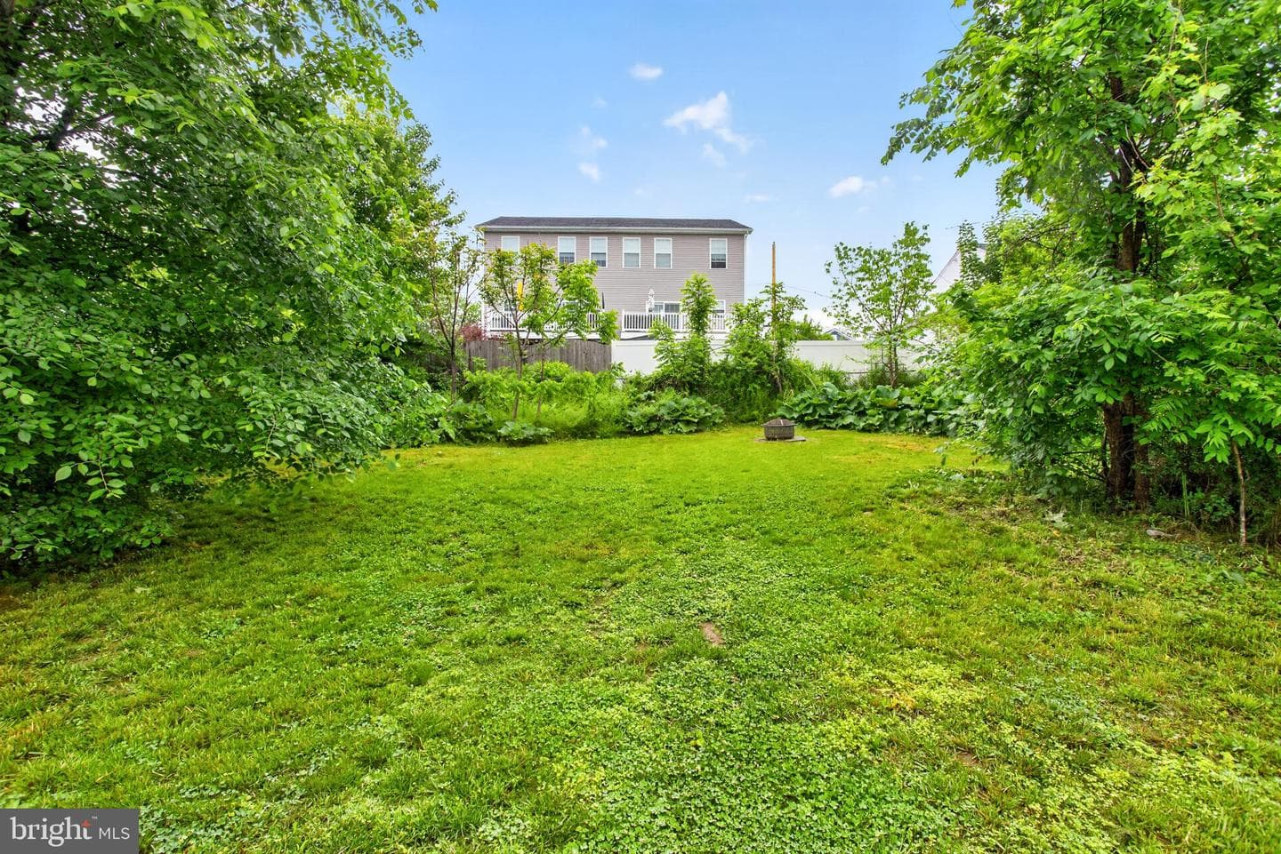 31 Emmett Street photo 28