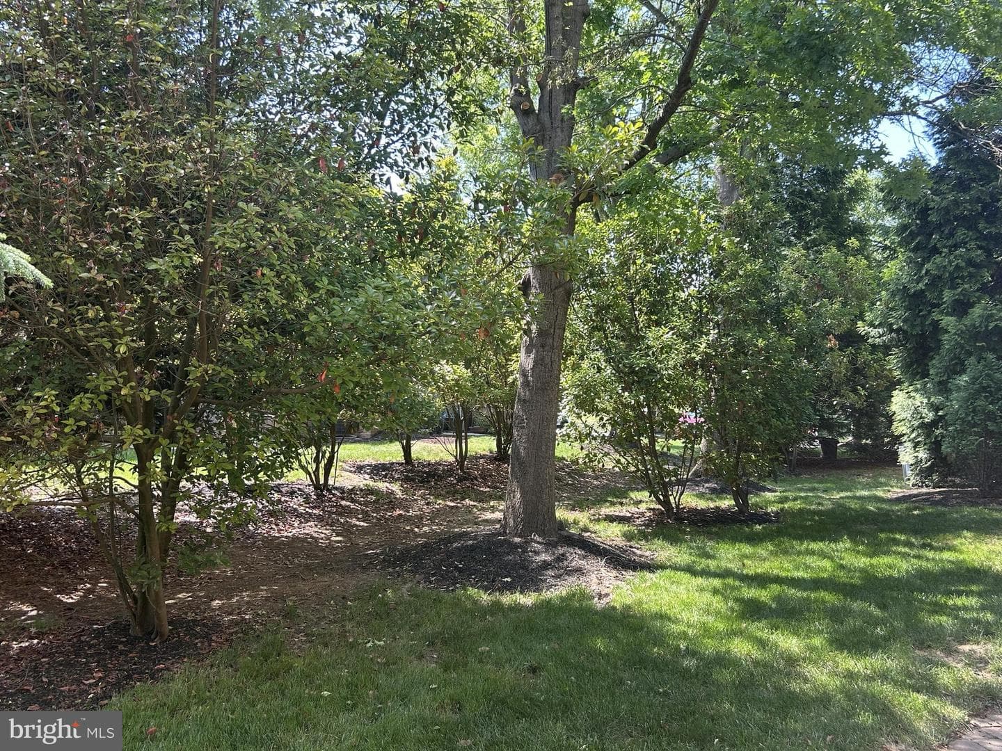 46 Rampart Drive photo 35