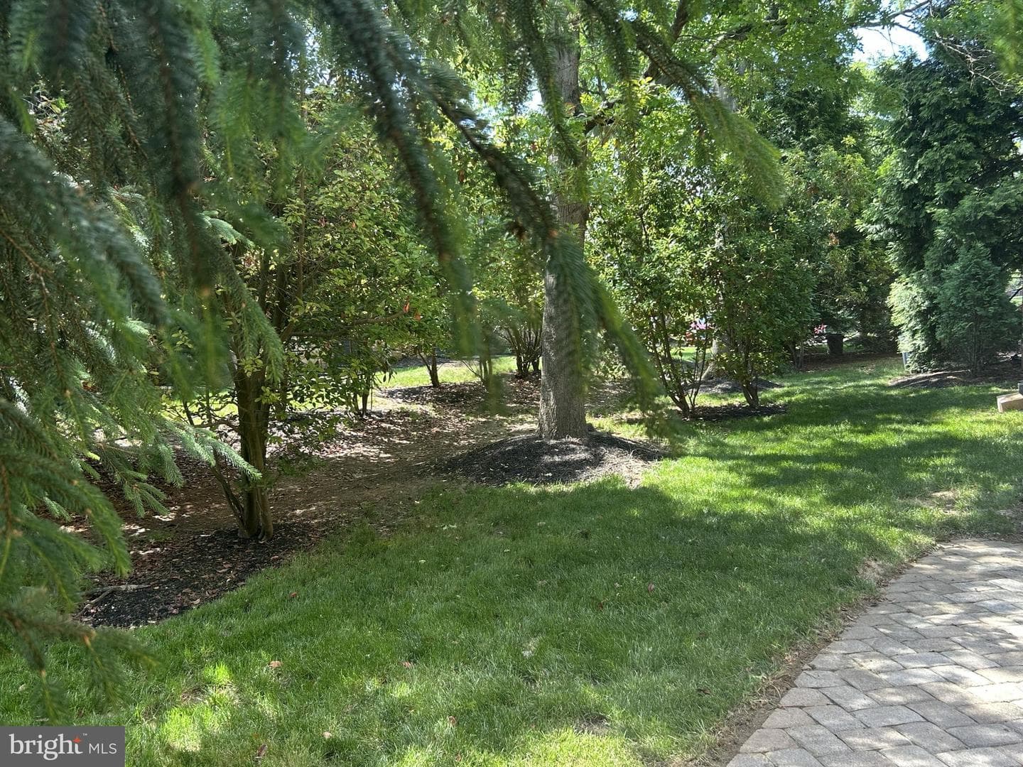 46 Rampart Drive photo 36