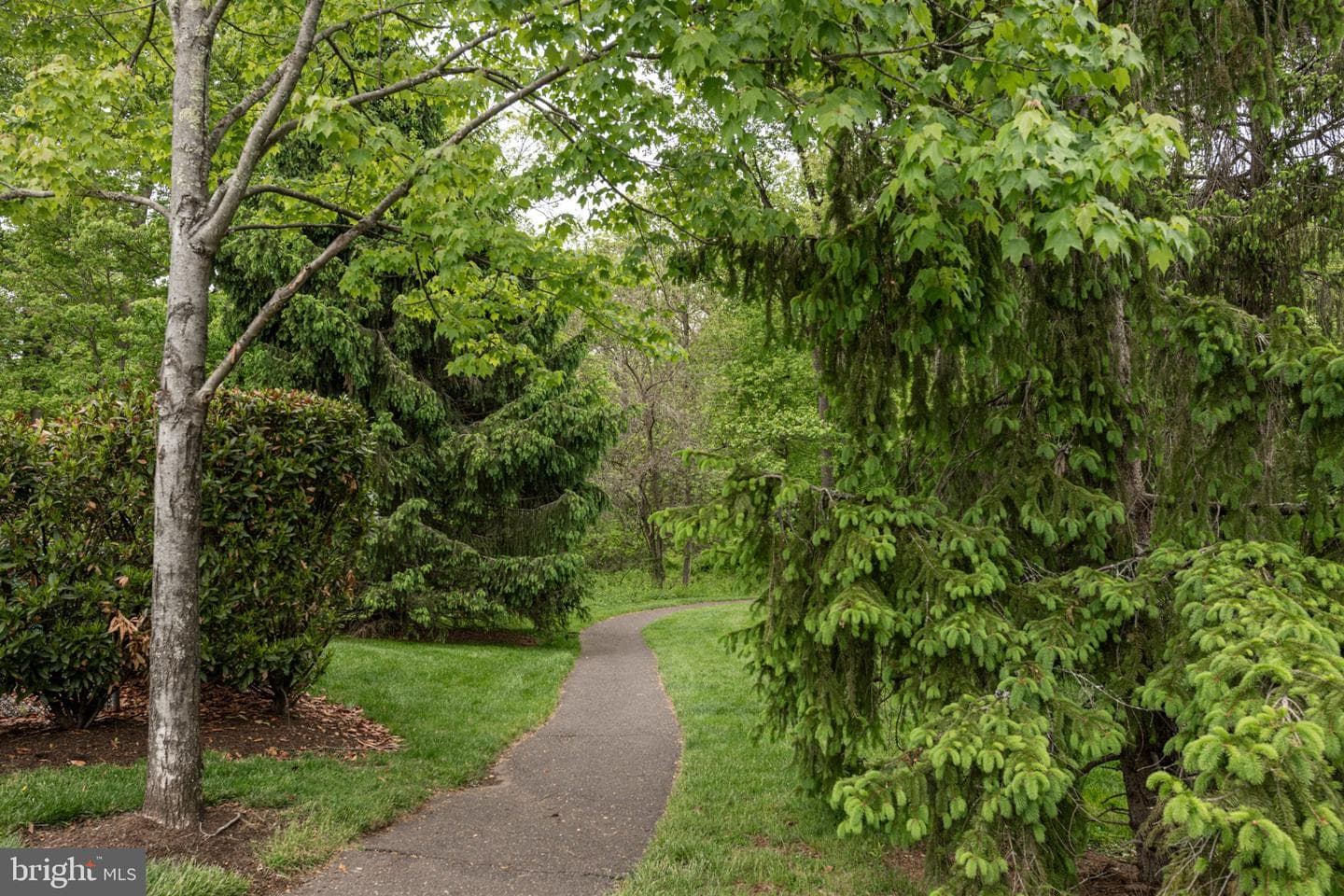 1703 Briarwood Ct # 1703 photo 33