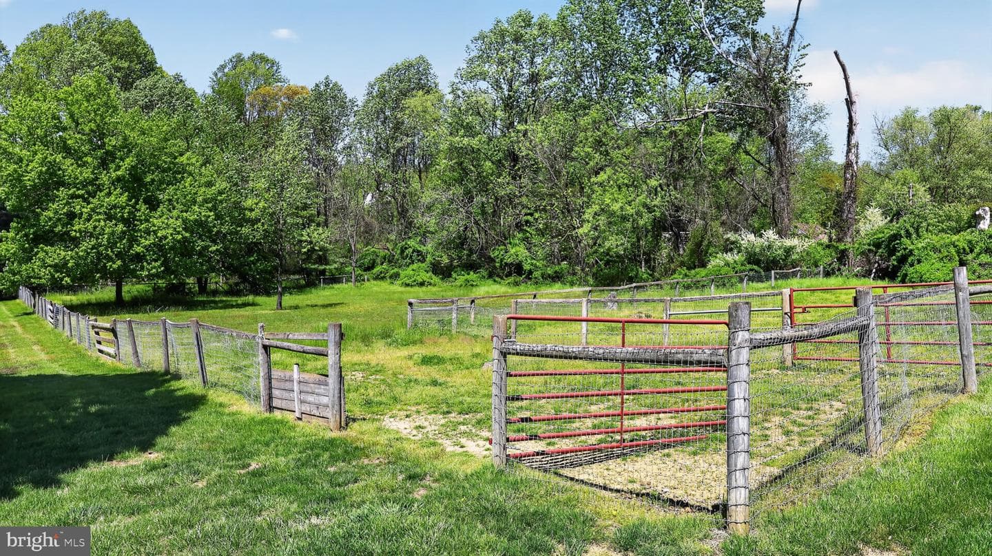 358 Lammey Rd photo 51