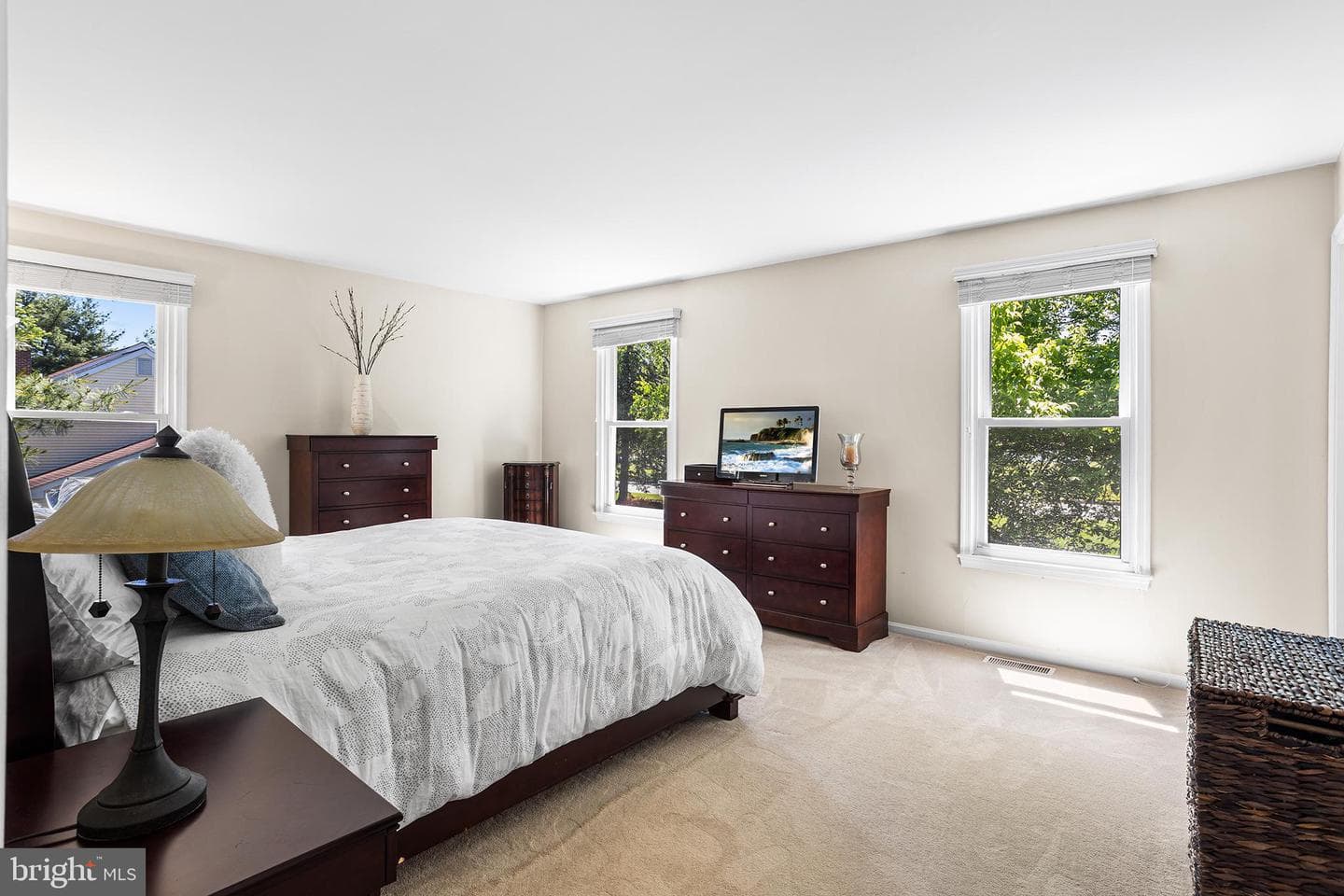 11 Almy Drive photo 30