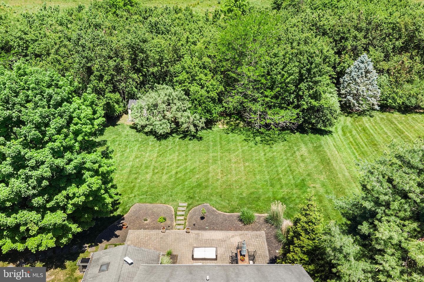 11 Almy Drive photo 49