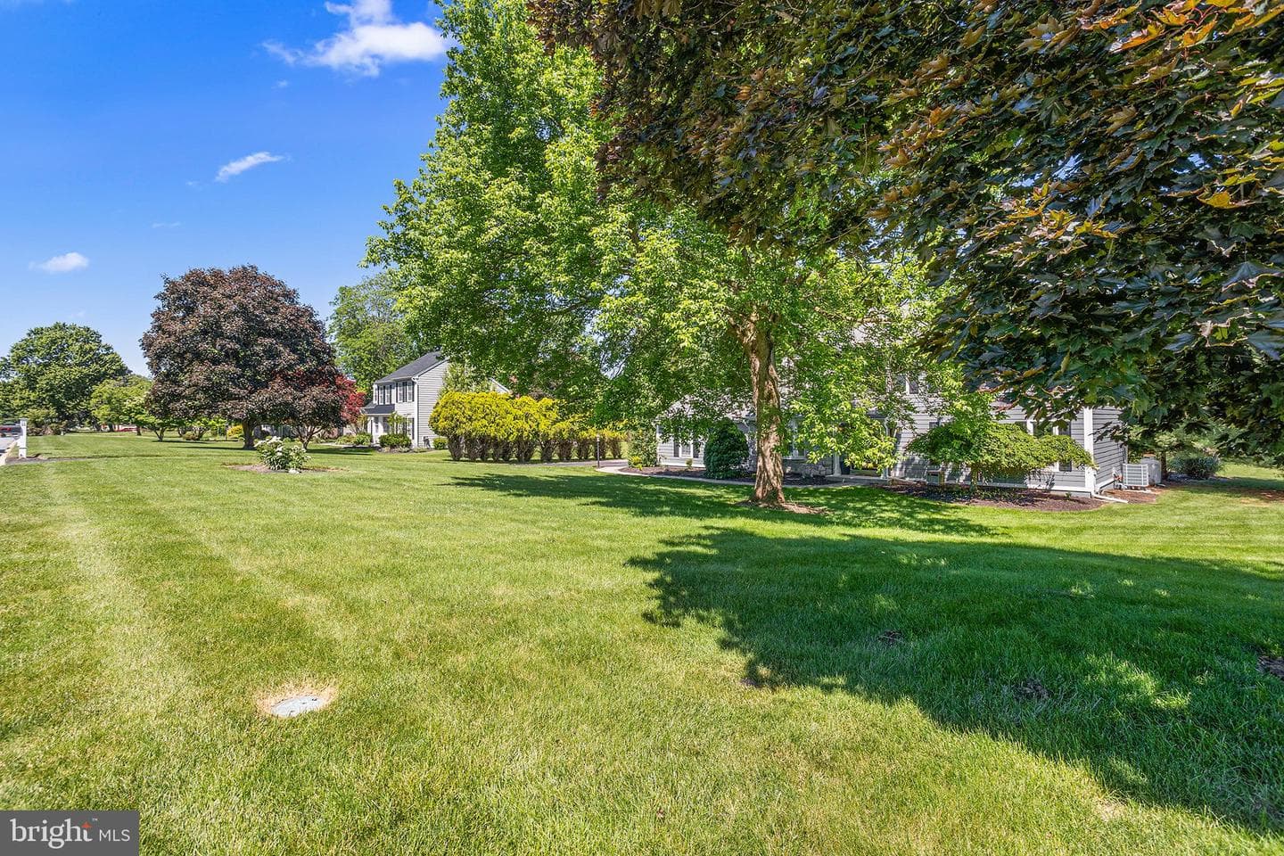 11 Almy Drive photo 51