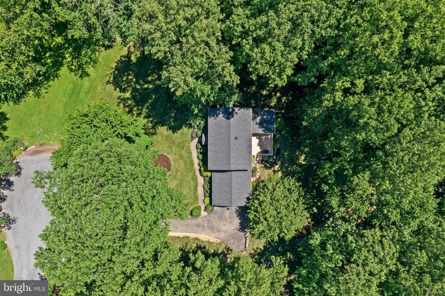 702 Great Oak Lane photo 4