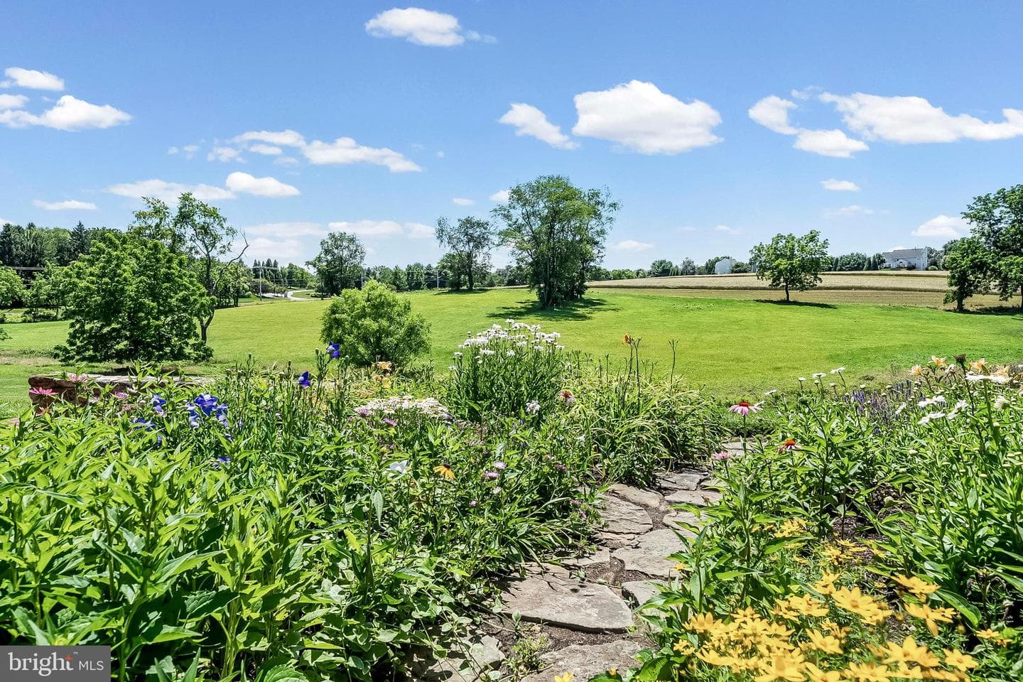 1001 Cannery Road photo 19